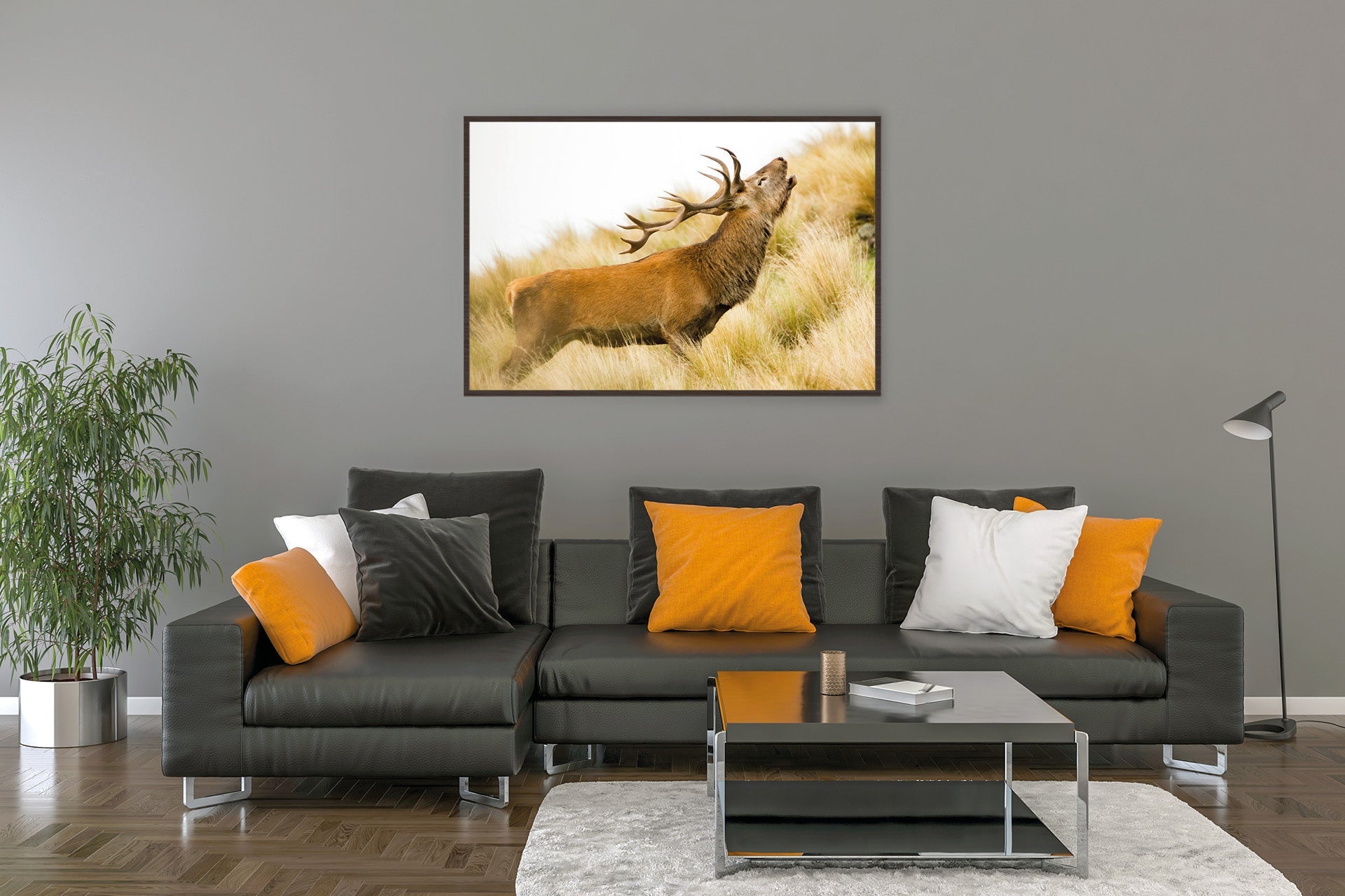 Rutting NZ red stag