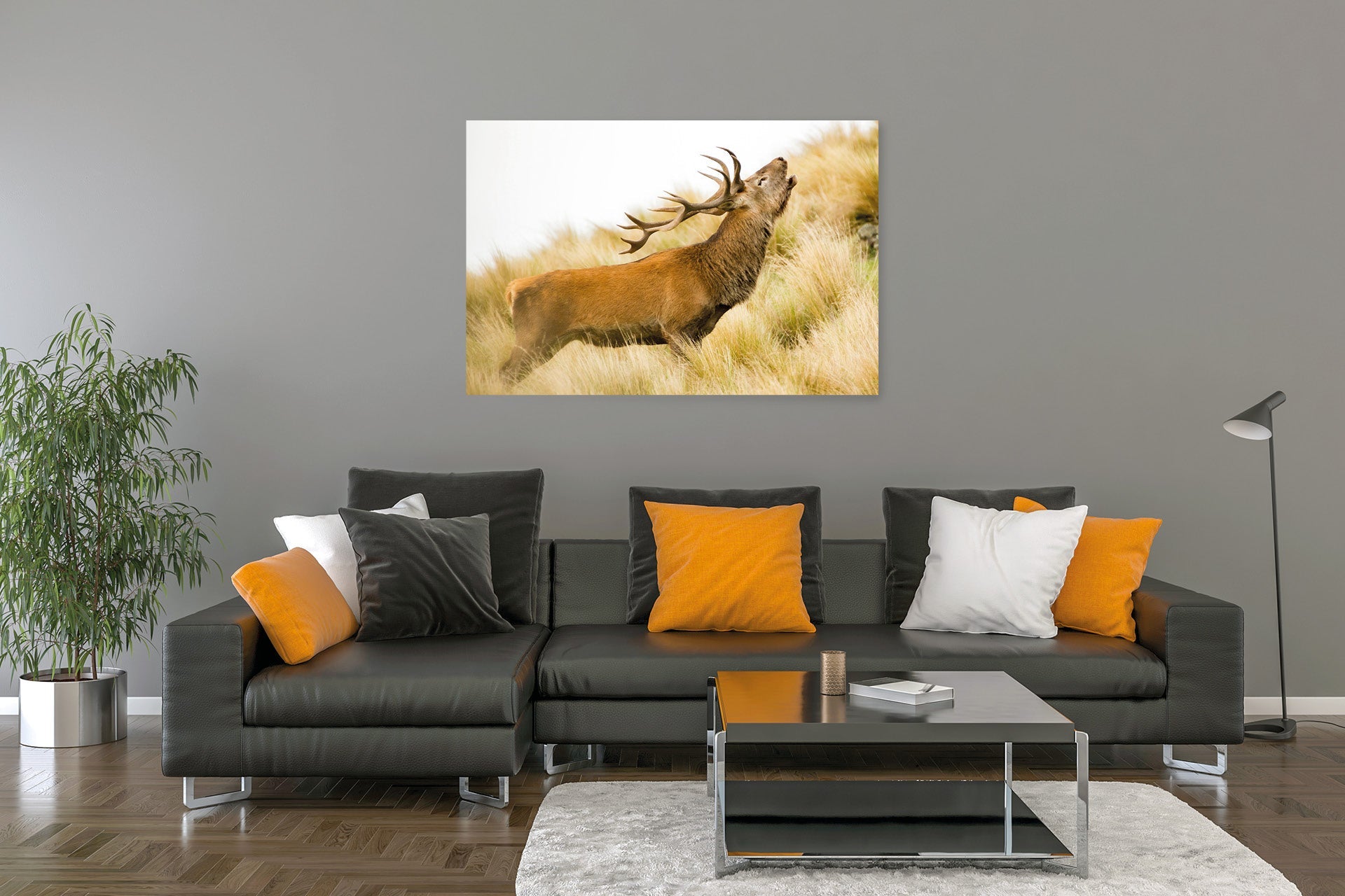NZ Red Stag roaring