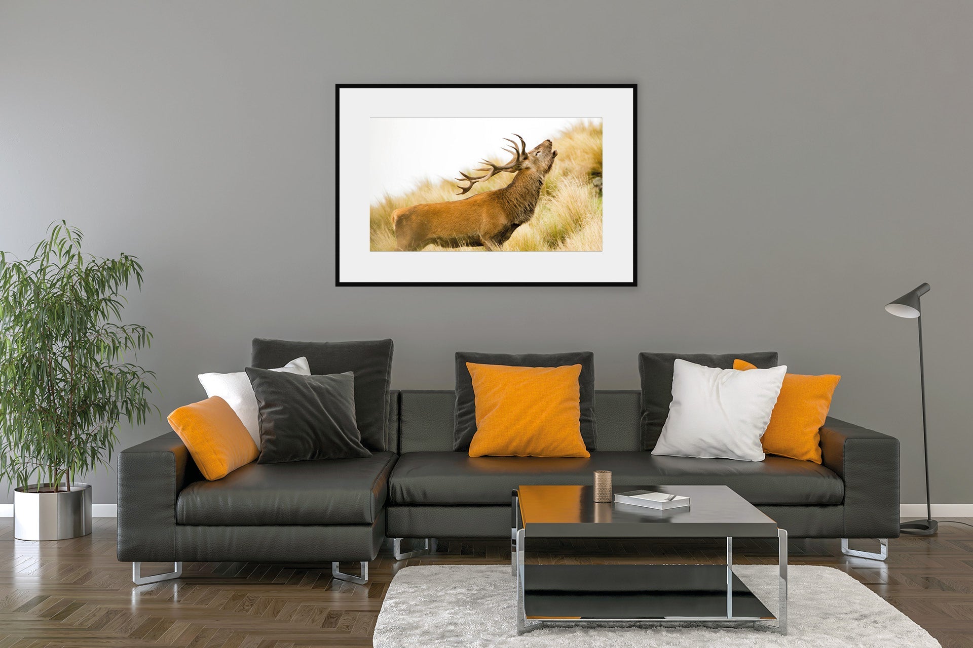 NZ Red Stag roaring