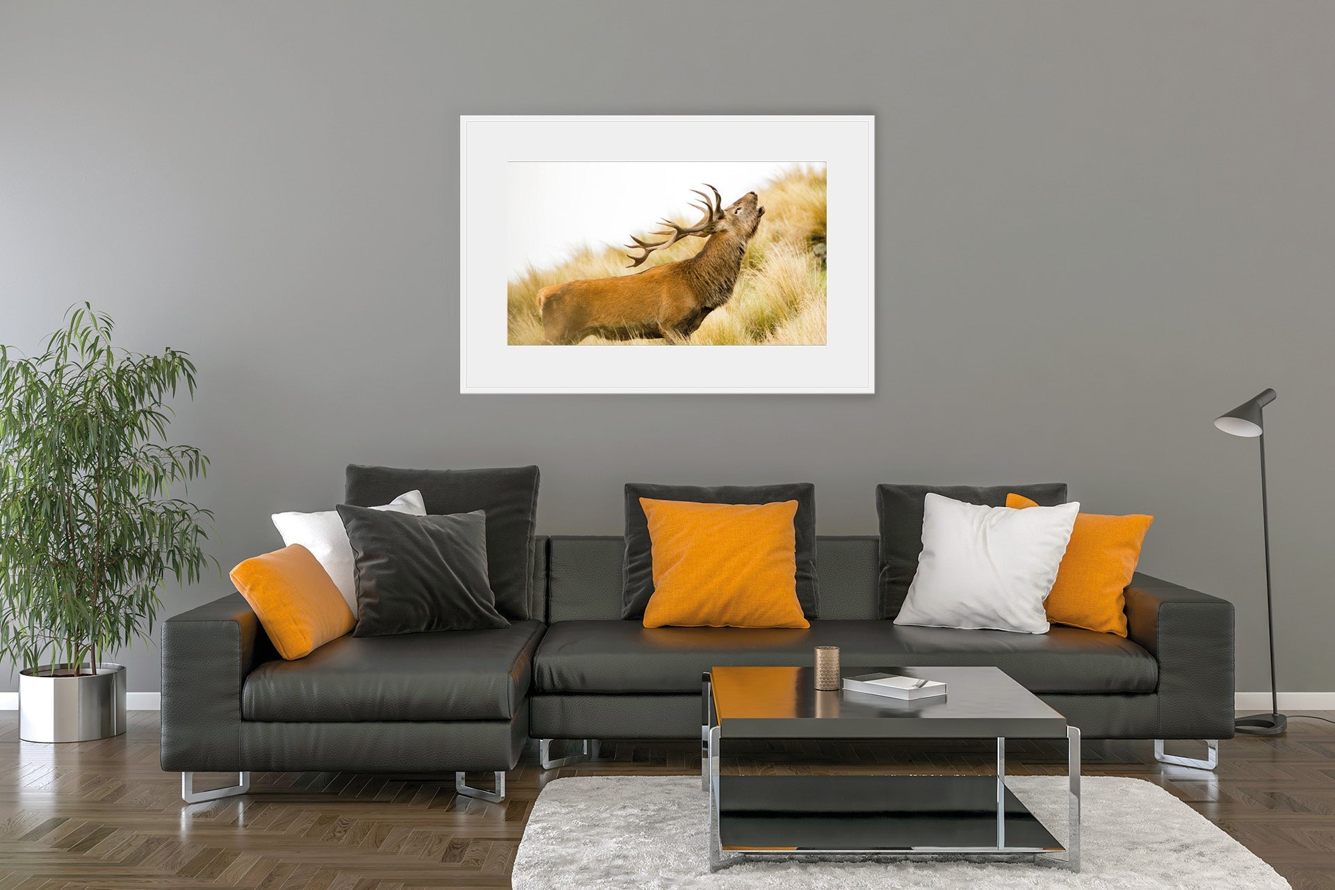 New Zealand Red Stag roaring