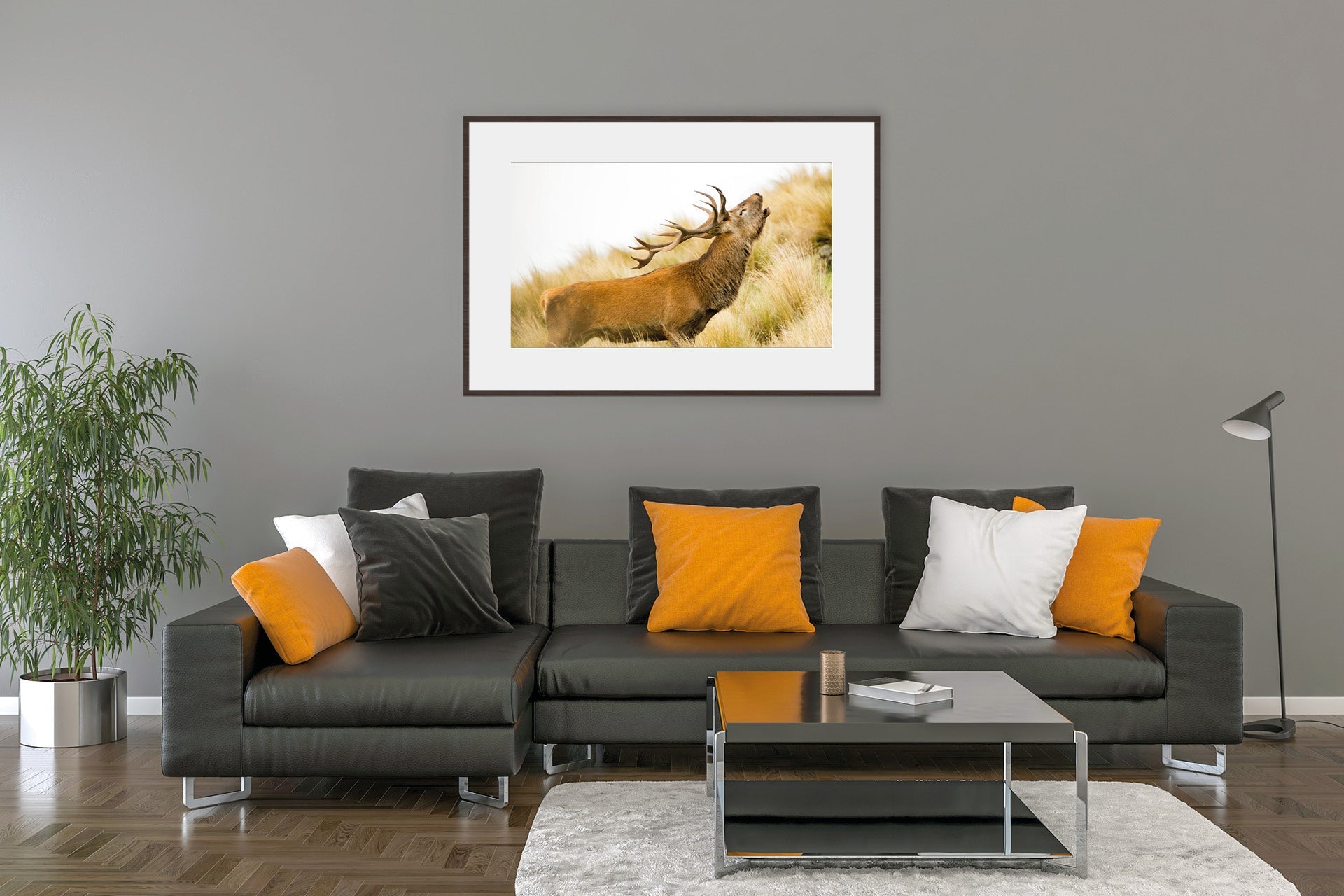 Rutting NZ red stag