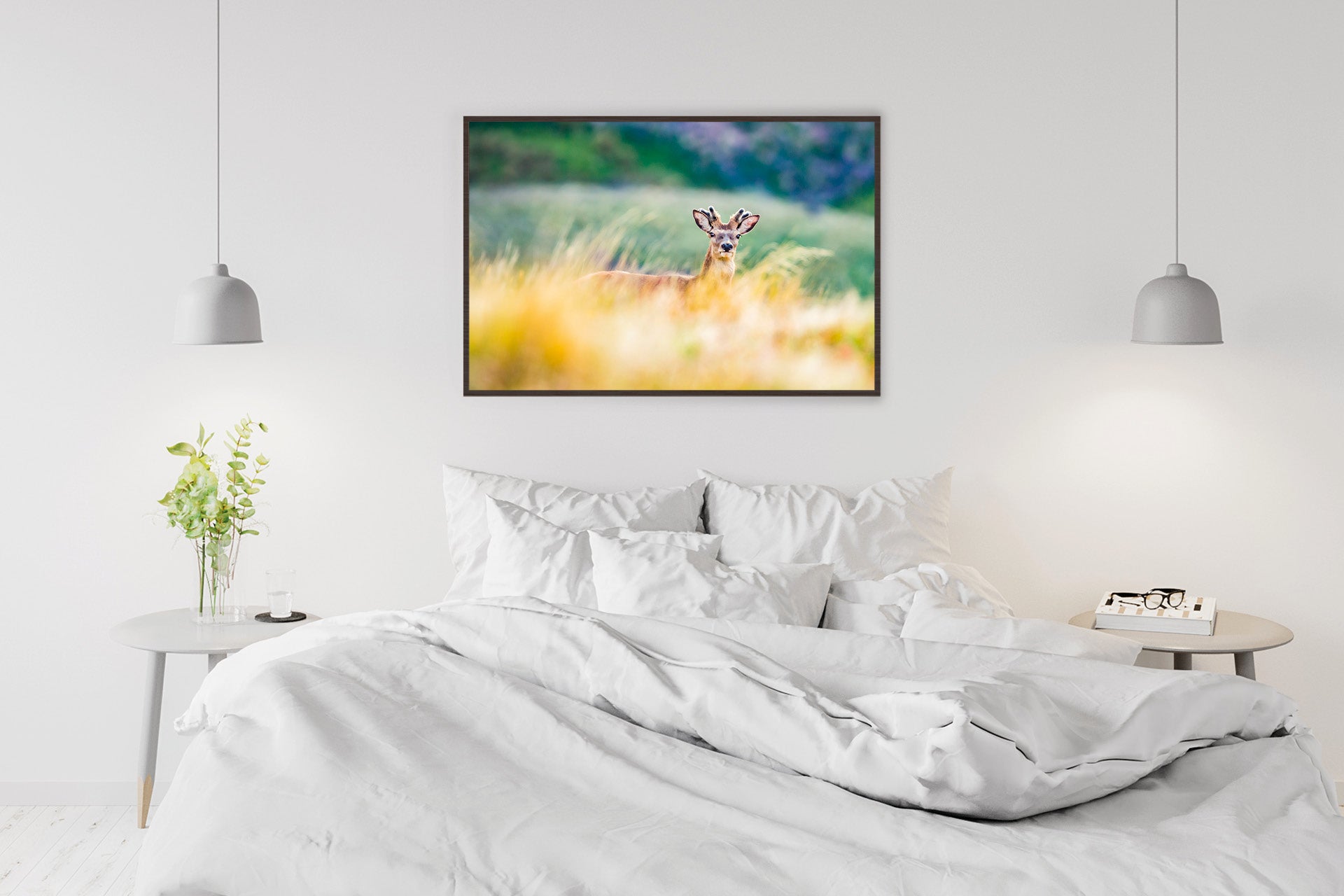 Red Stag Spiker photo image New Zealand