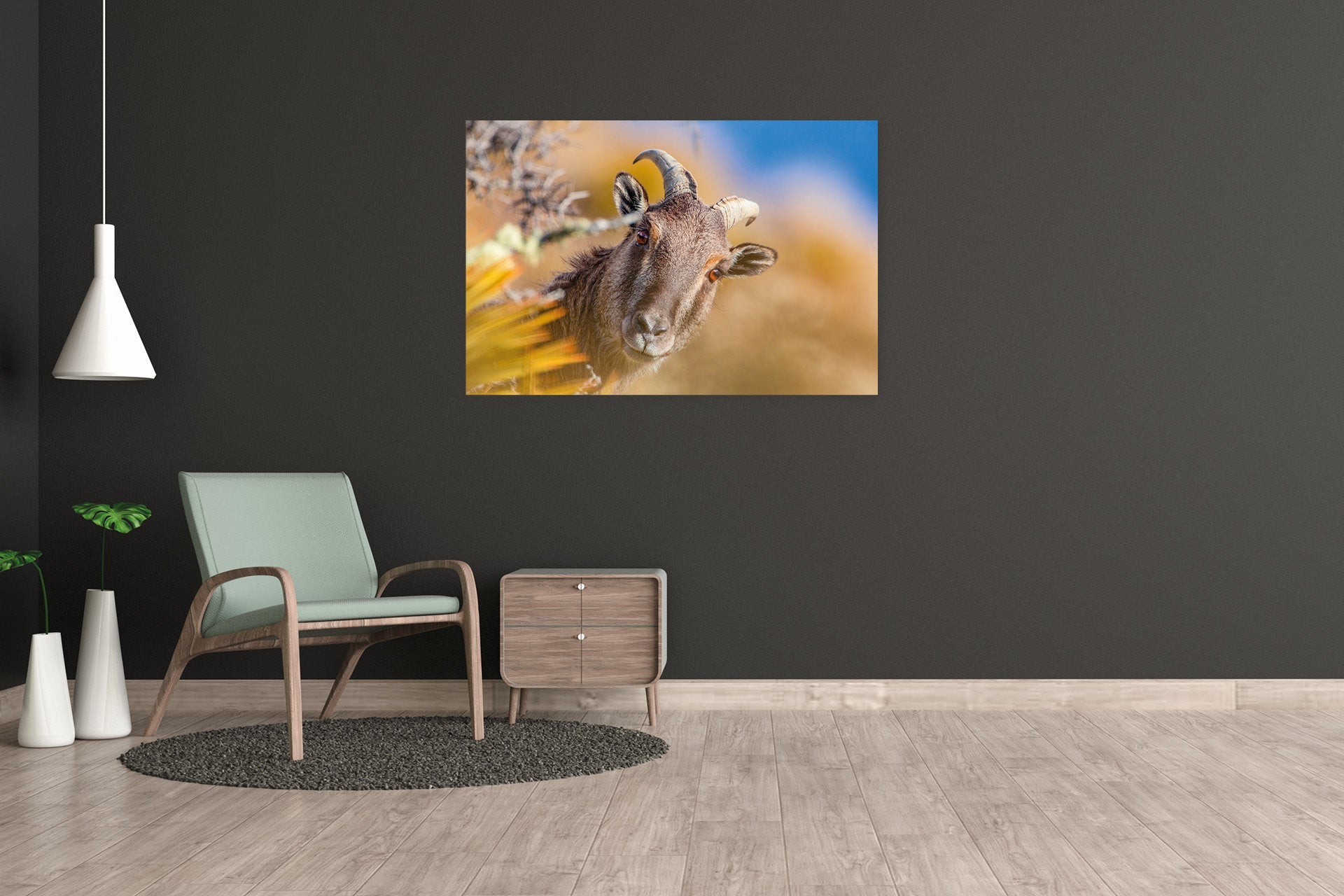 nanny tahr print