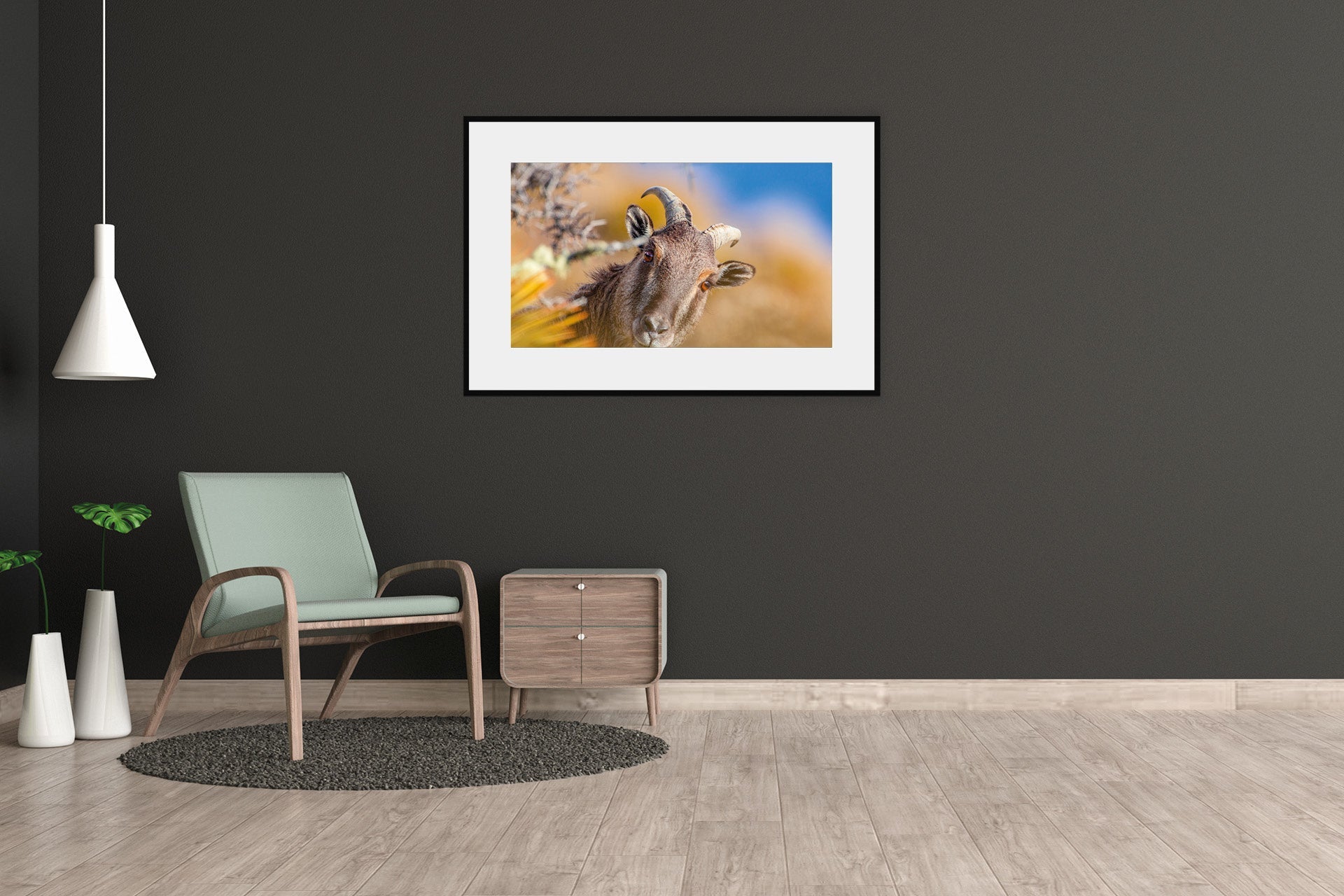 nanny tahr print