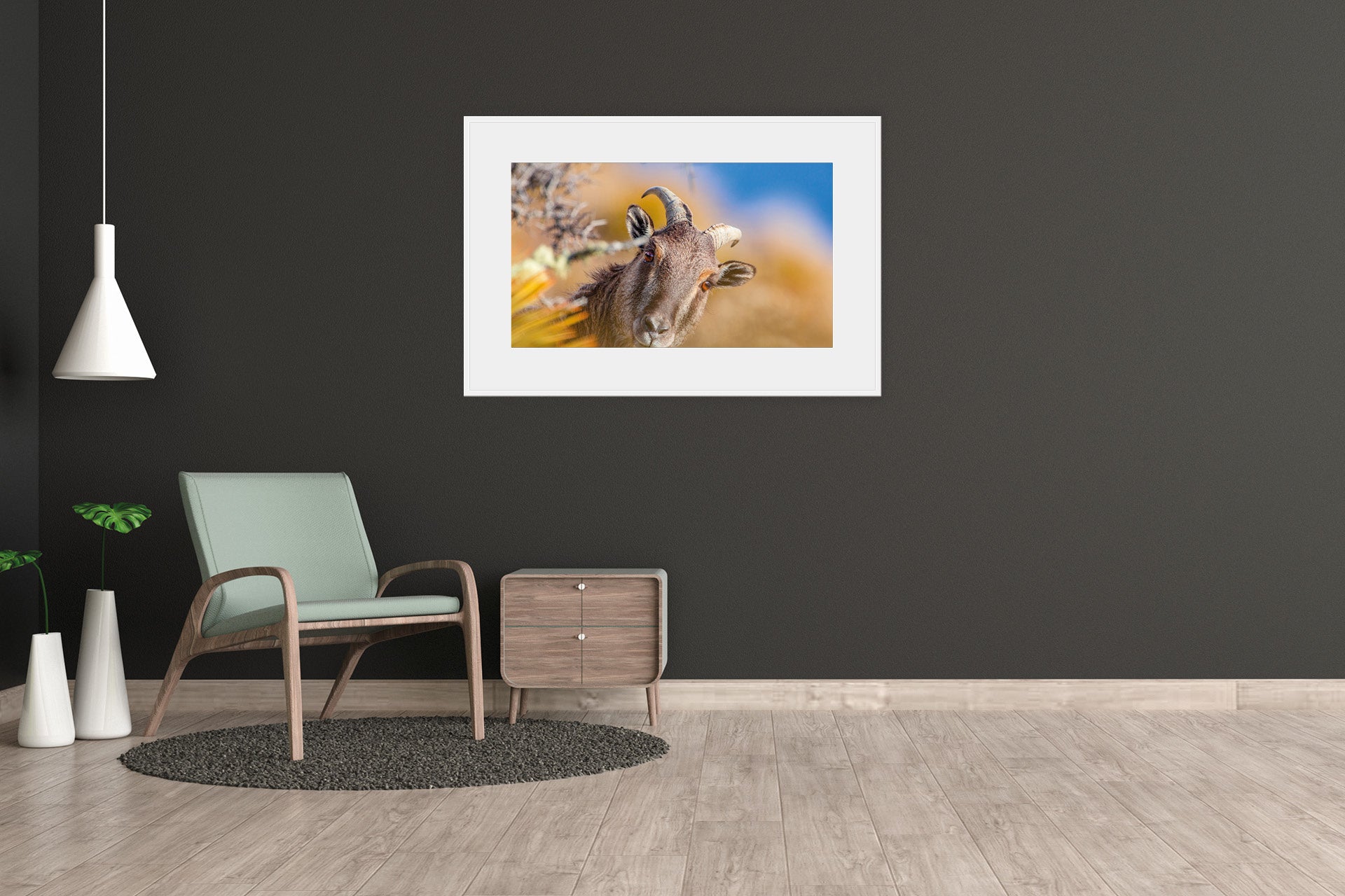 nanny tahr photo wall print