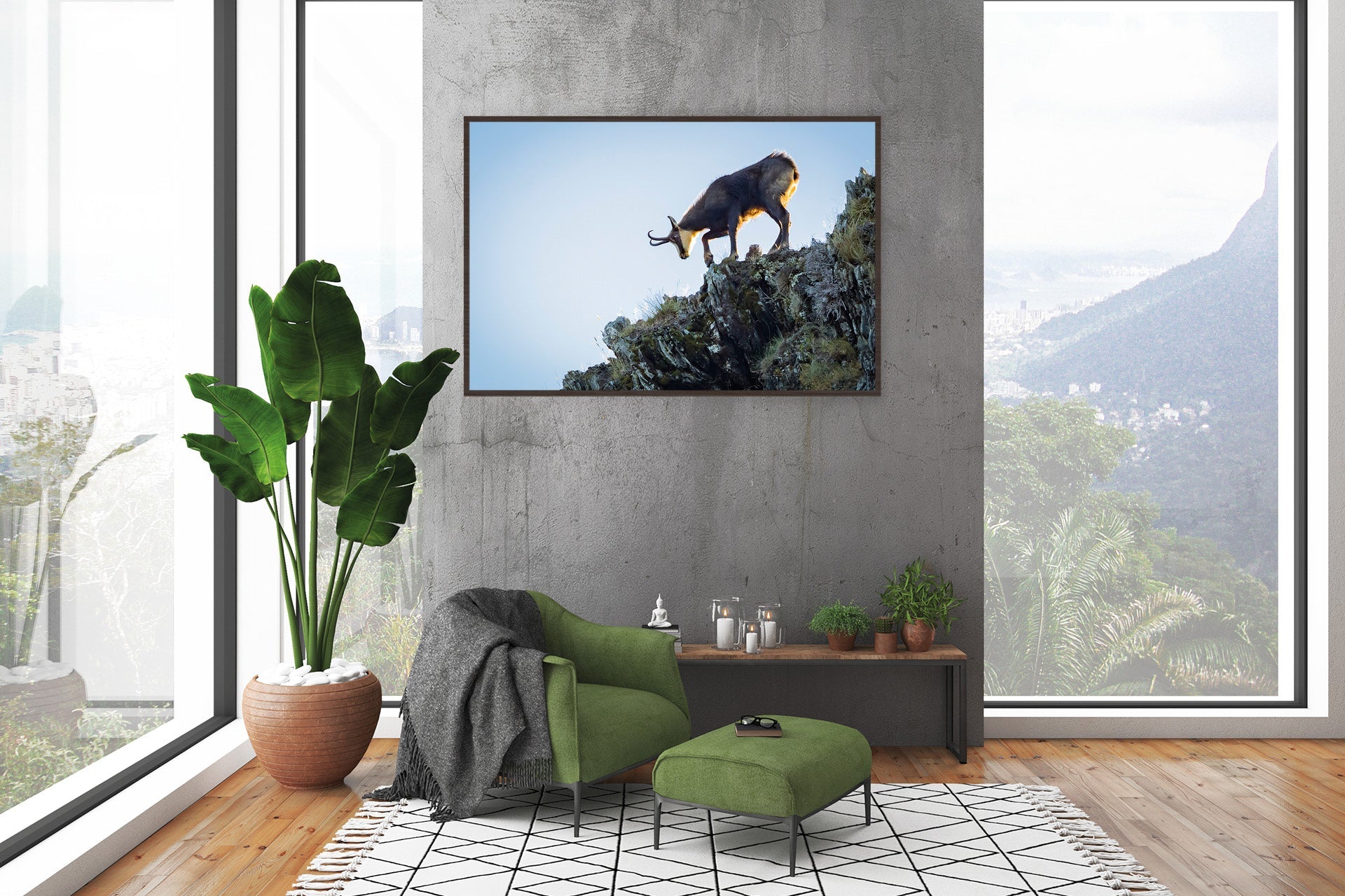 Chamois wall print photo