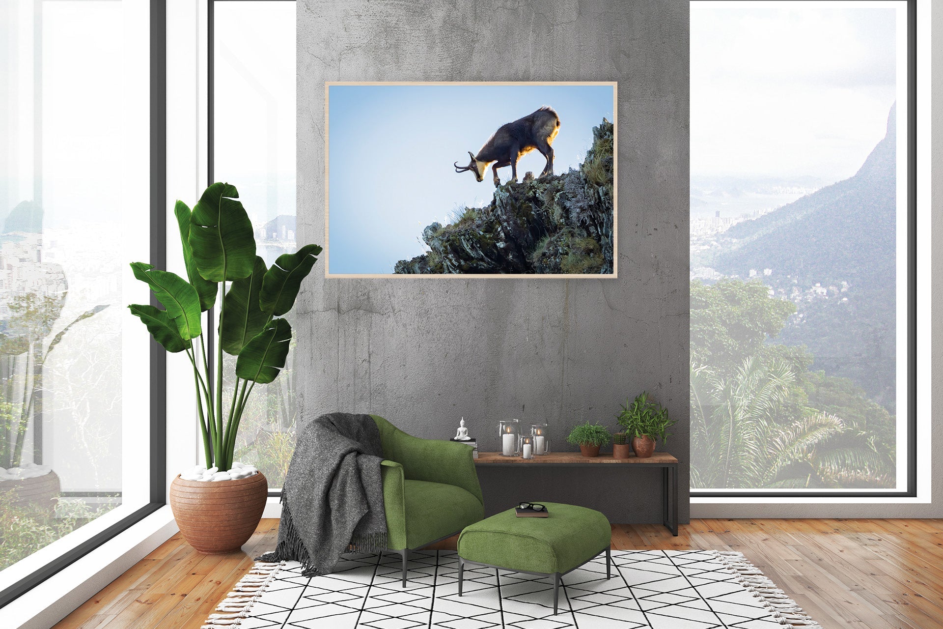 Chamois wall print photo