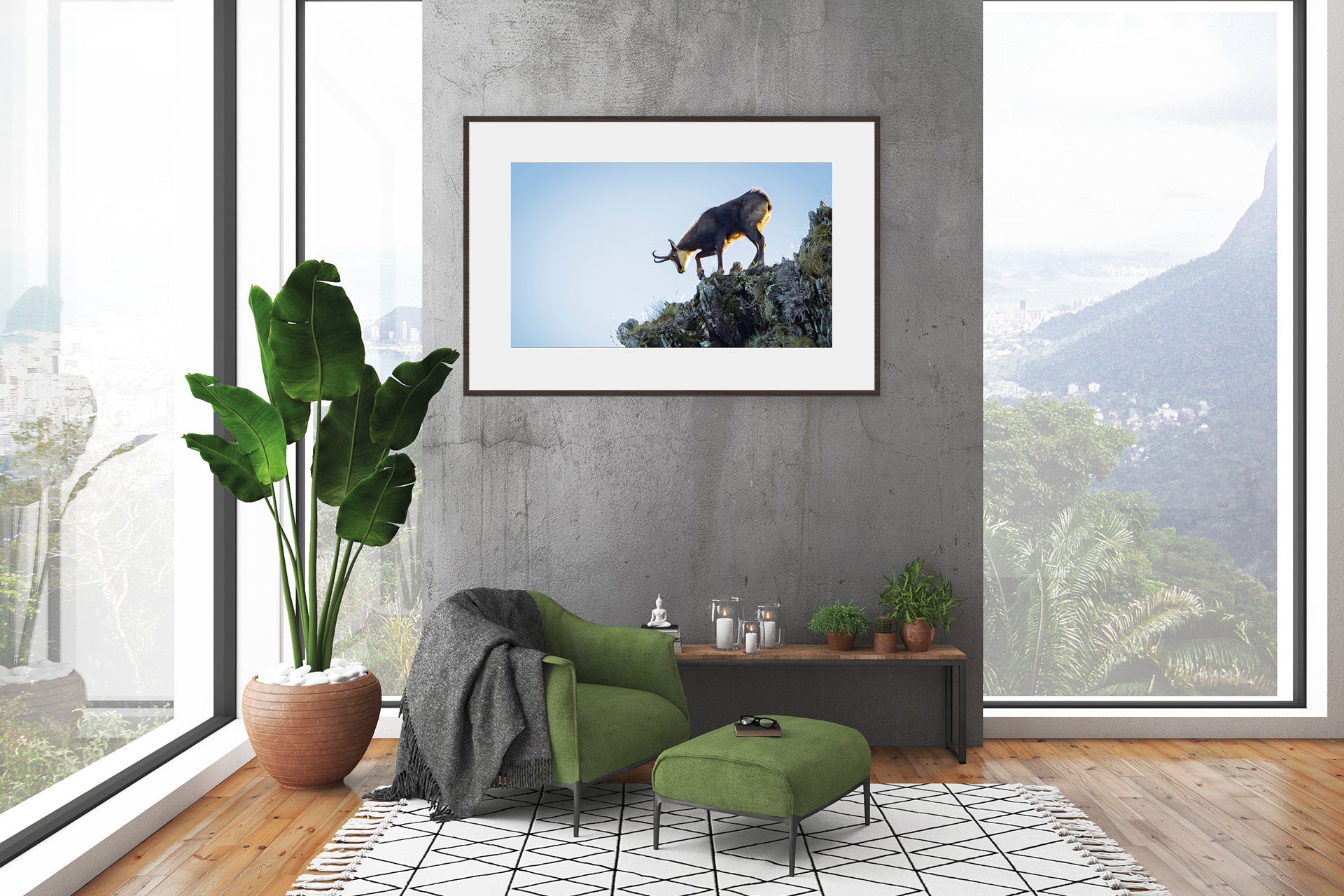 Chamois Buck photo image