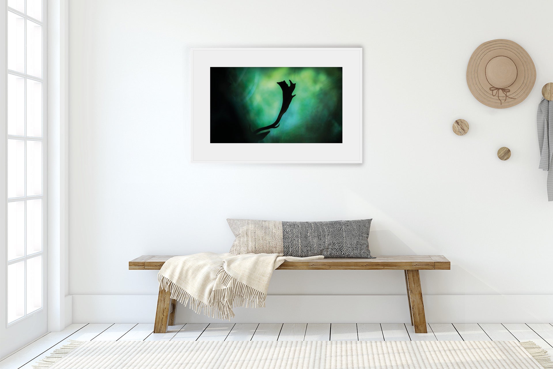 NZ Fallow Buck wall print photo