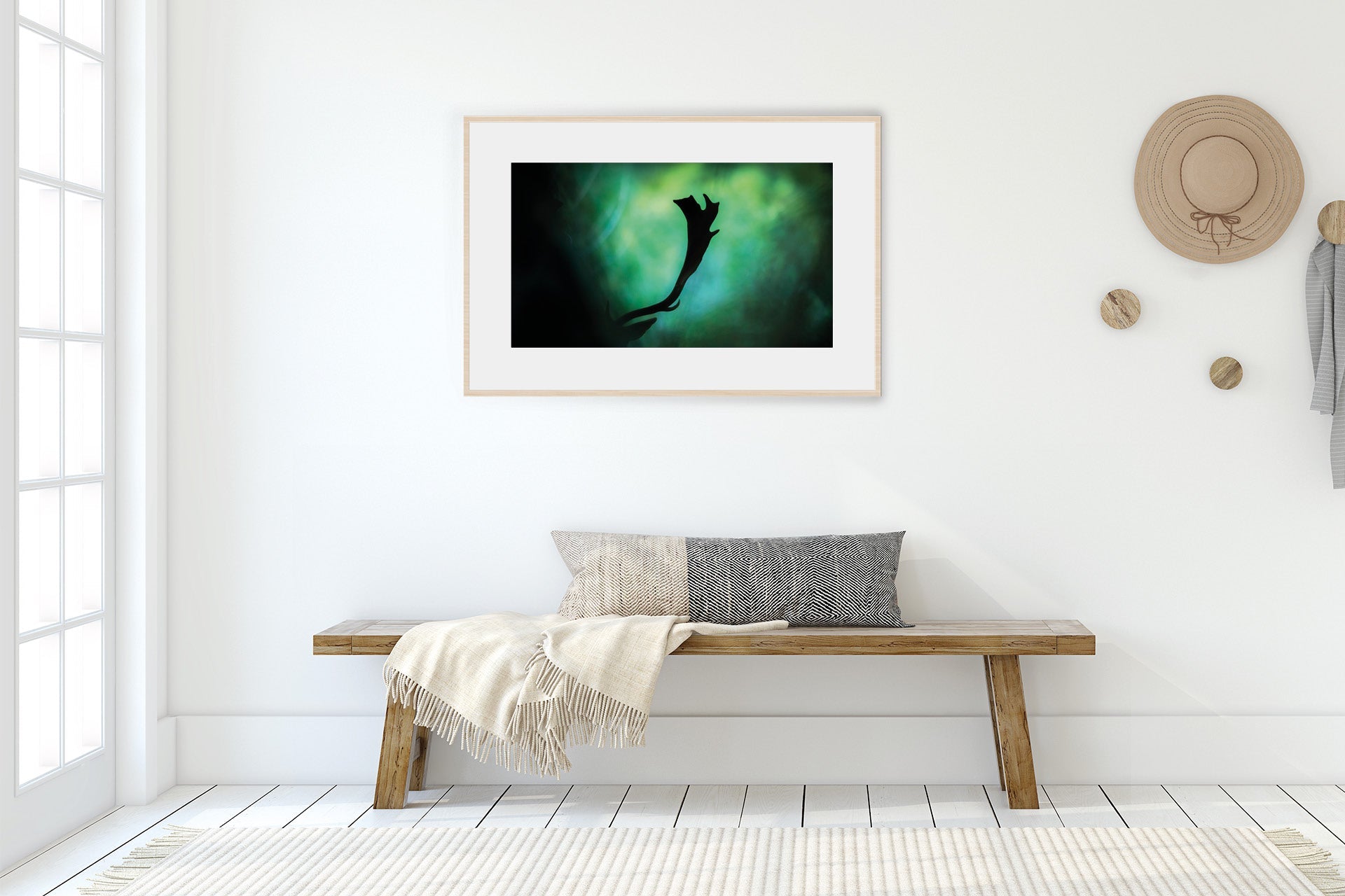NZ Fallow Buck wall print photo
