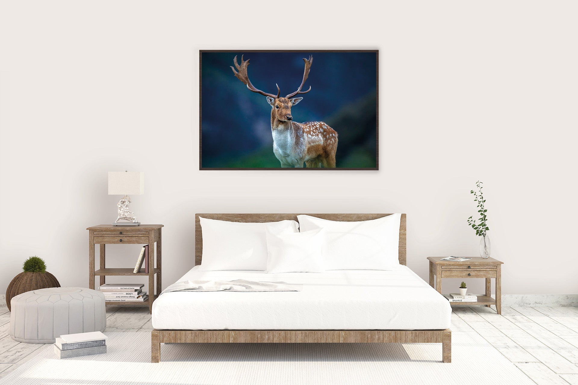Fallow Buck photo image