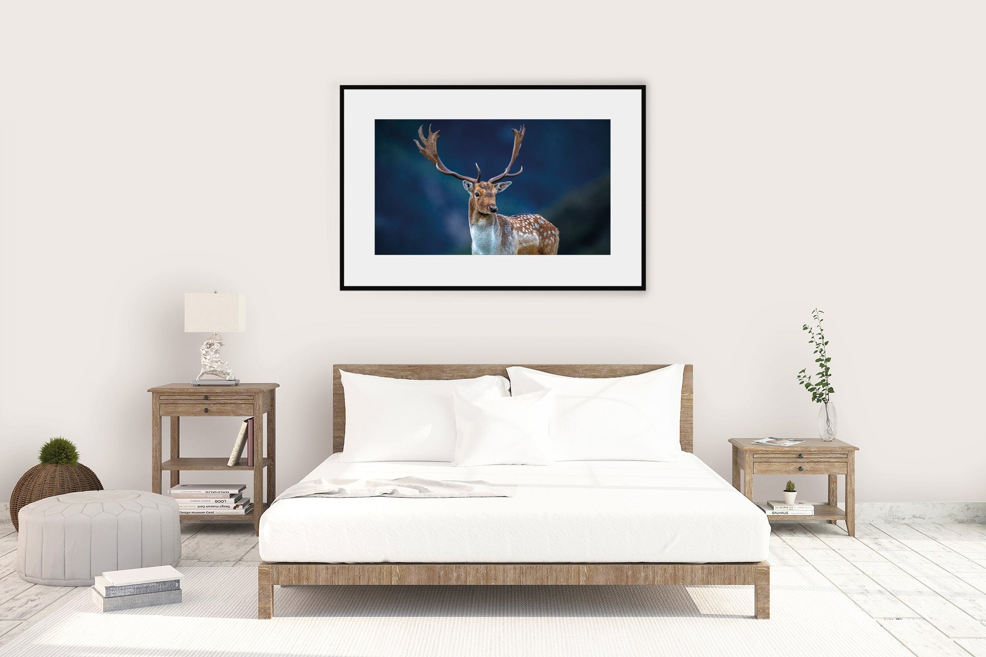 Mature New Zealand Fallow Buck wall print