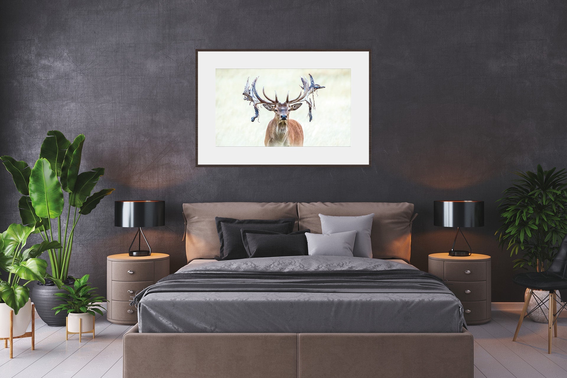 Red Stag in velvet picture