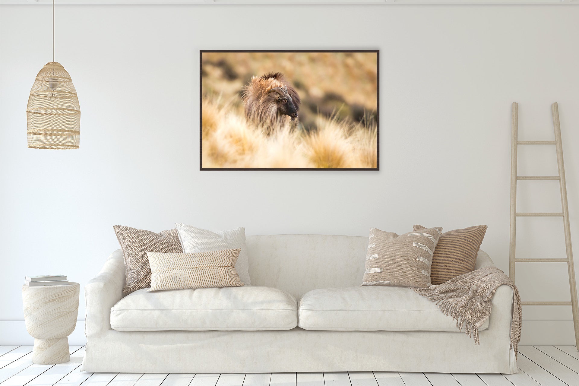 bull tahr image