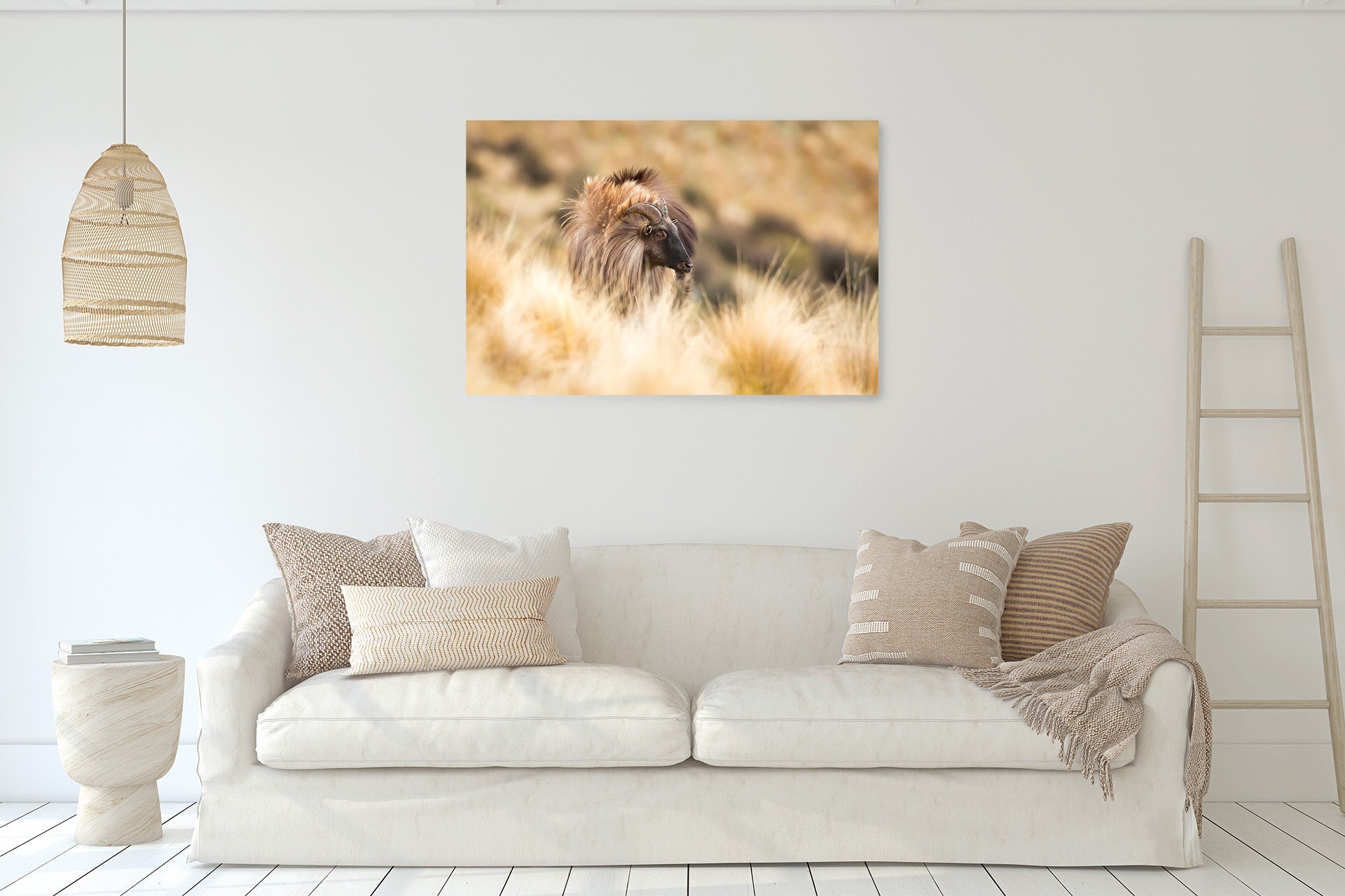NZ Tahr