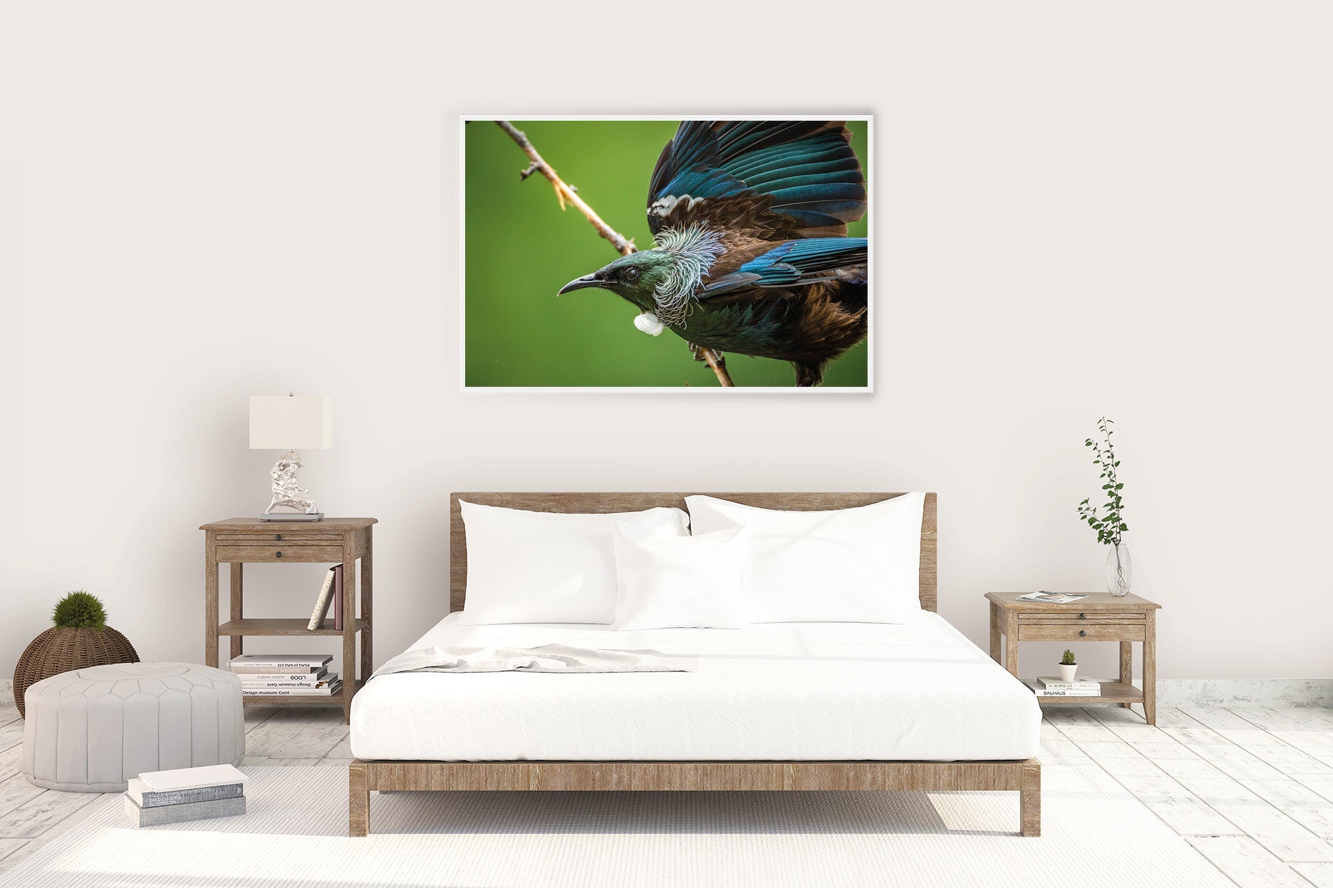 New Zealand Tui
