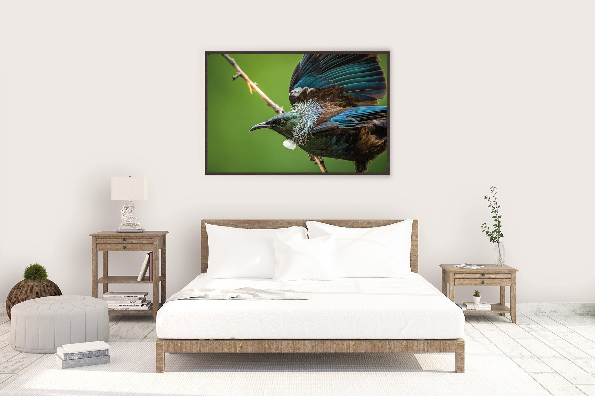 NZ Tui wall print