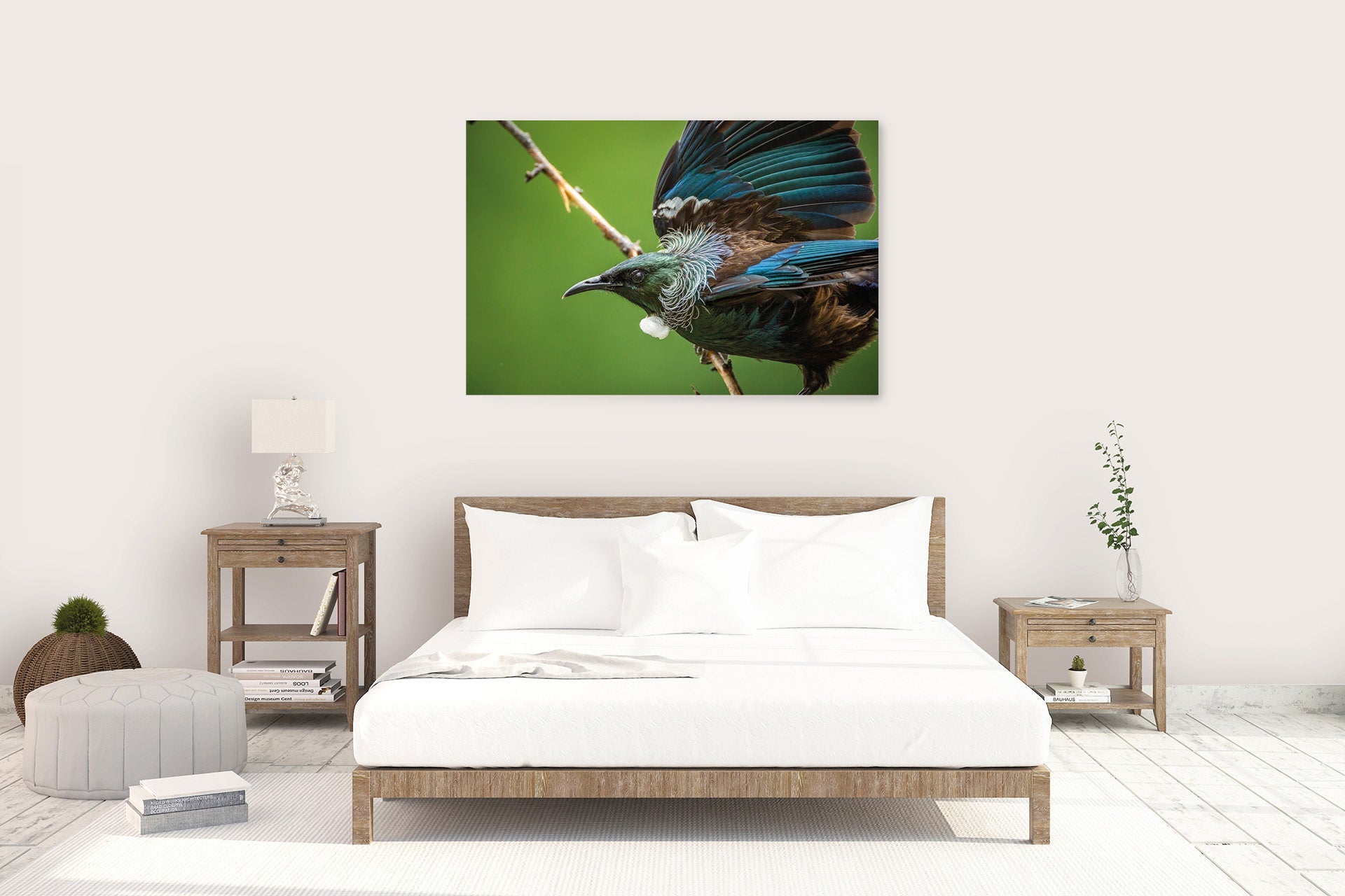 New Zealand Tui