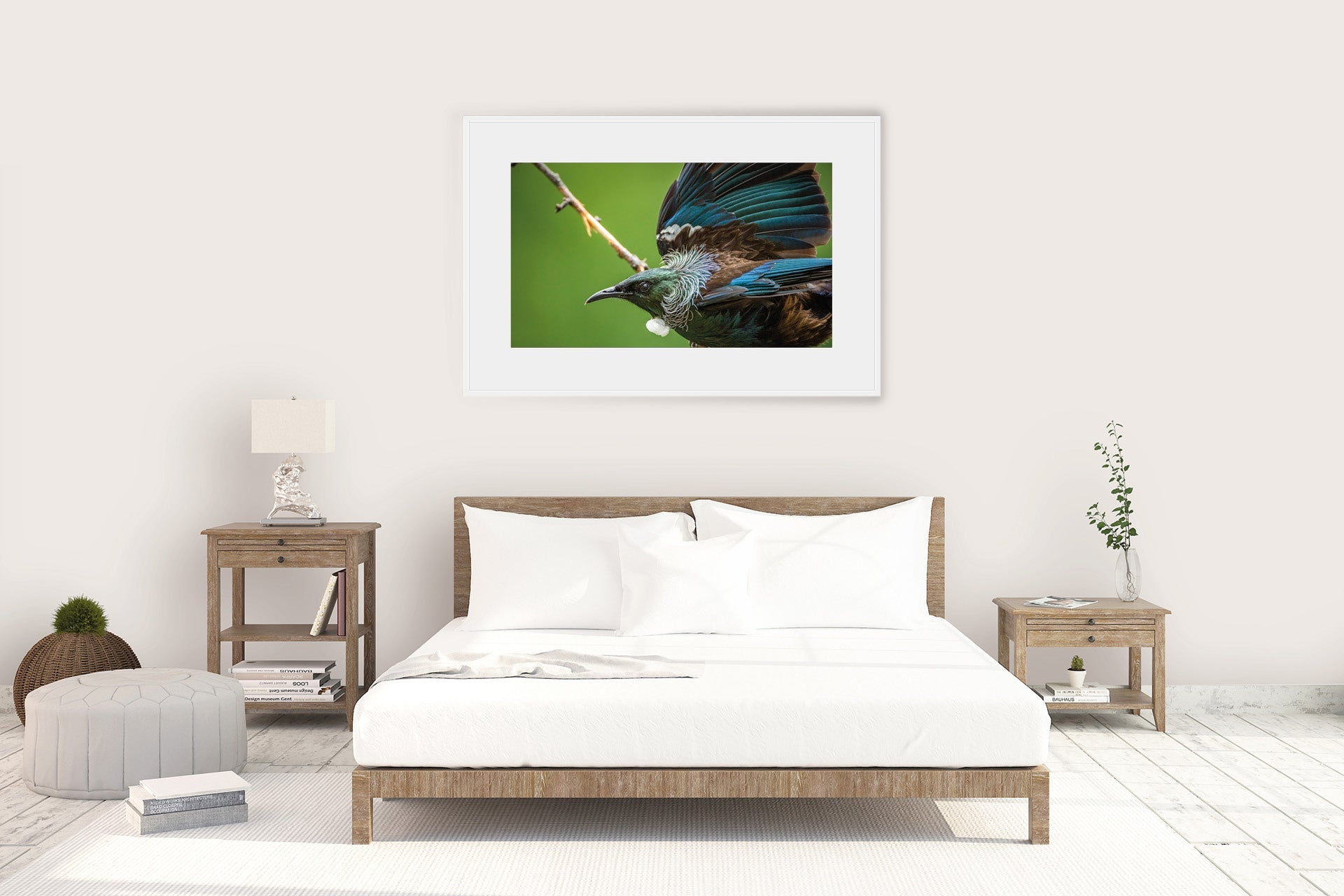 NZ Tui wall print