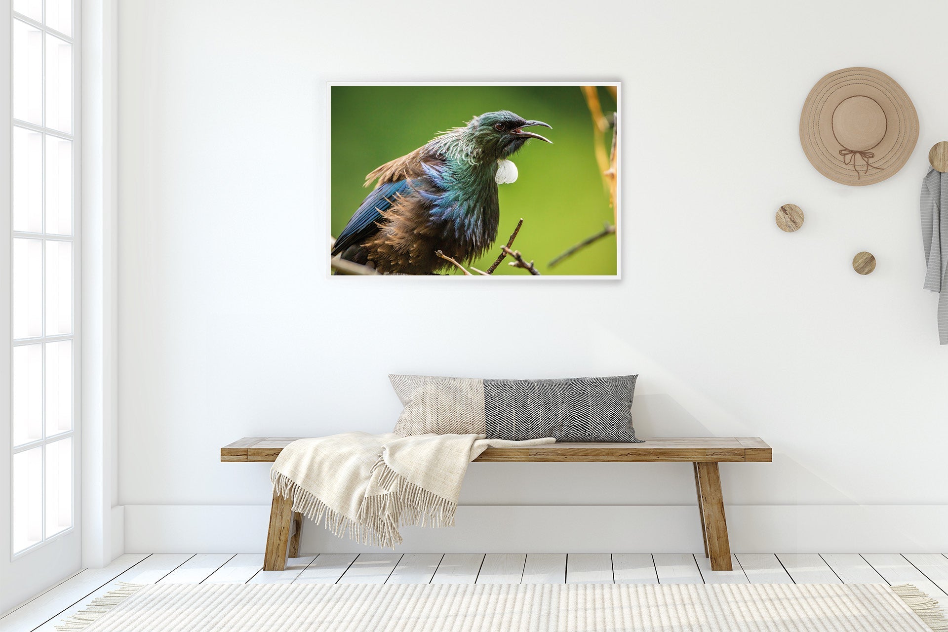 nz native bird prints