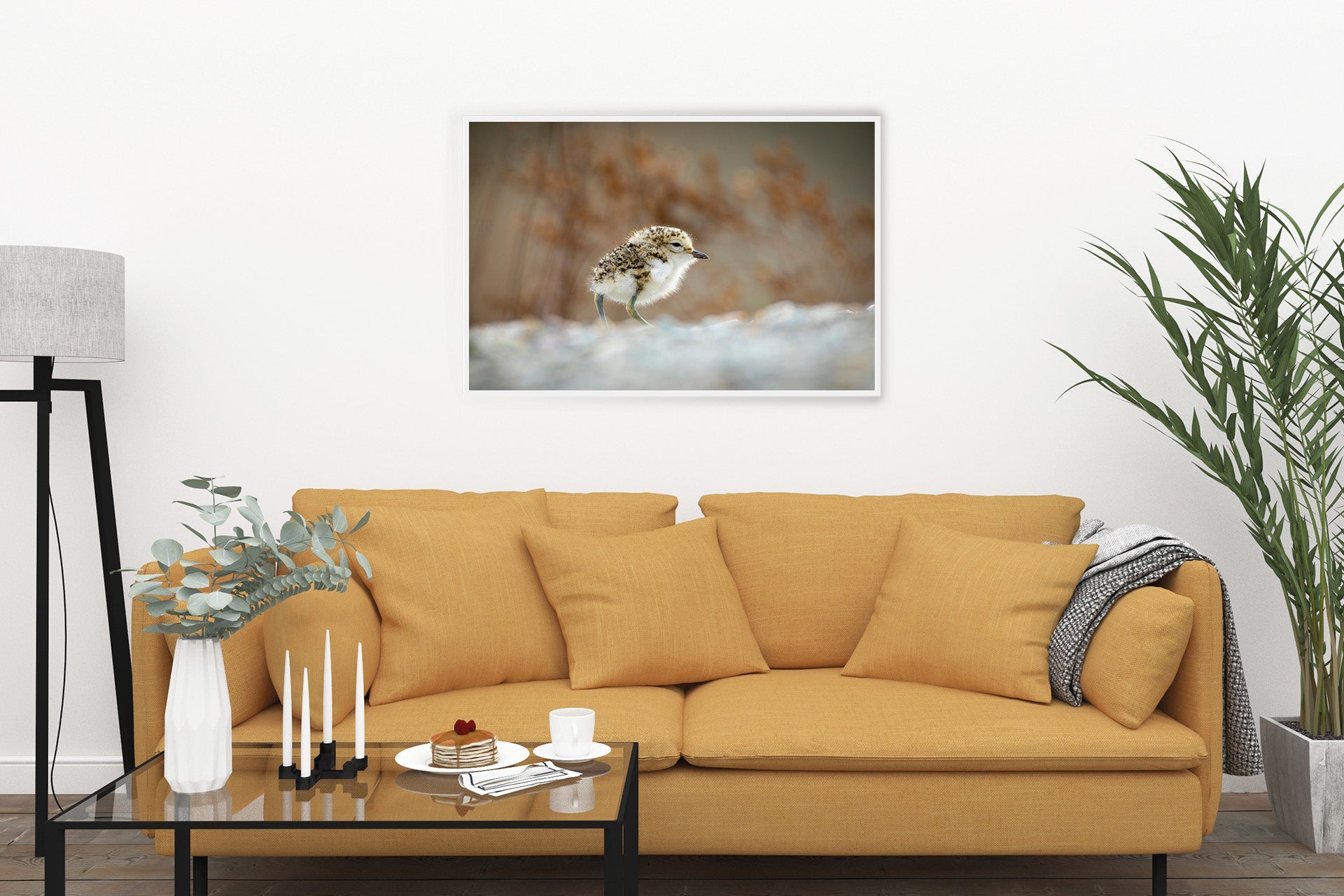 New Zealand Banded Dotterel print