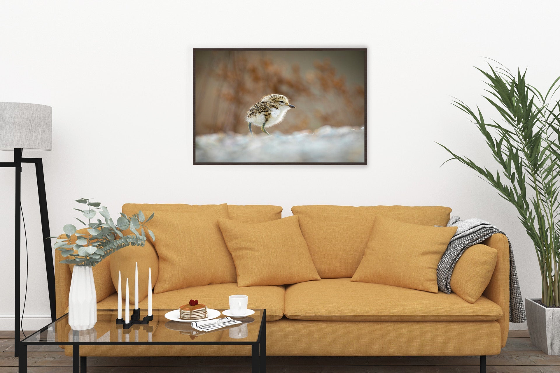 New Zealand native bird print photo
