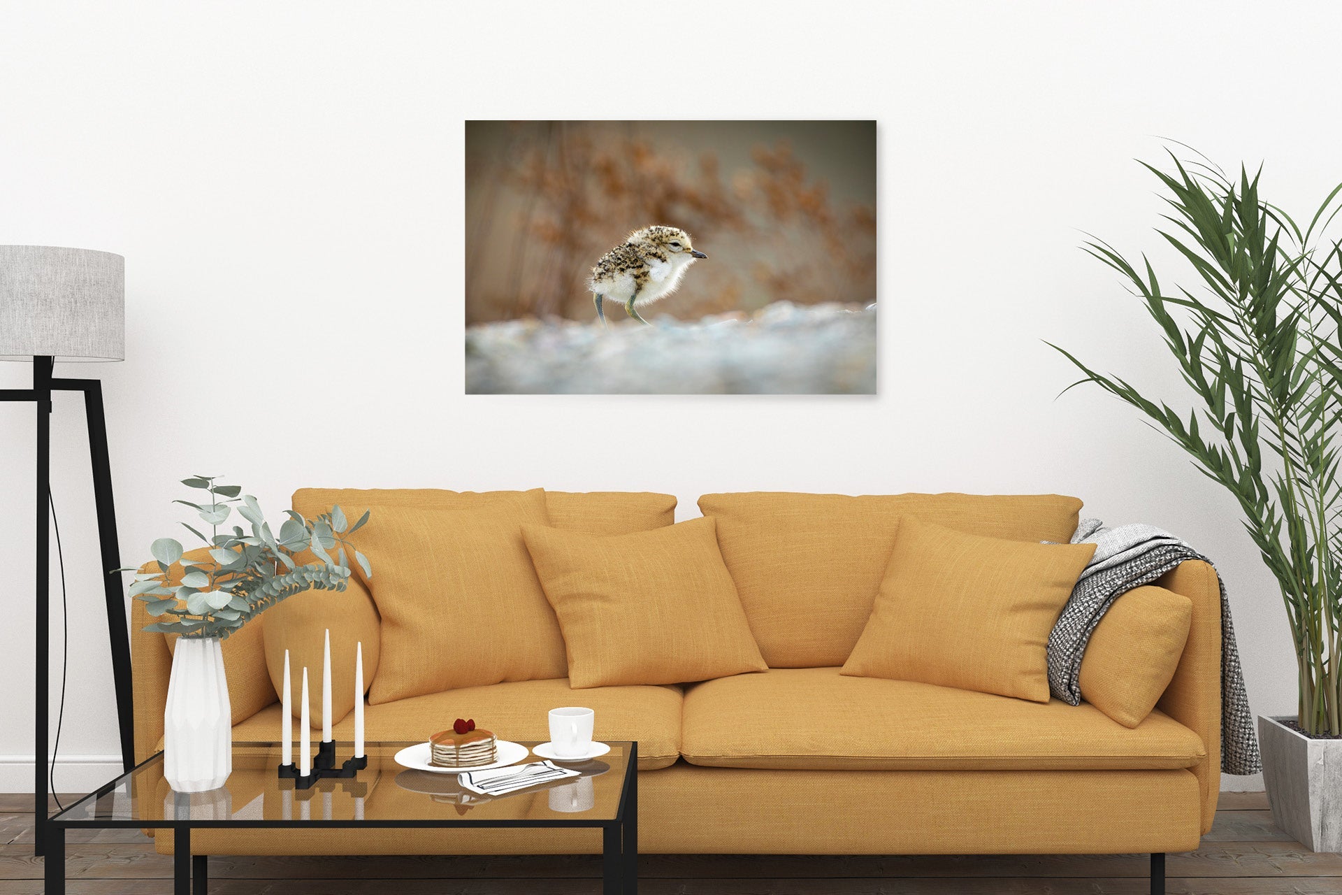 New Zealand Banded Dotterel print