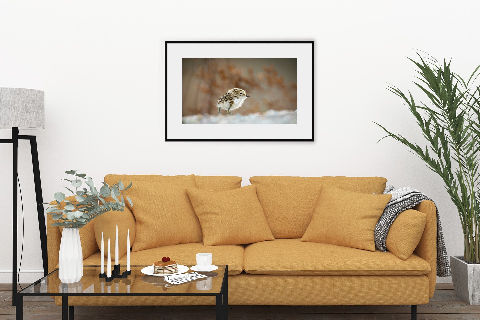 New Zealand Banded Dotterel print