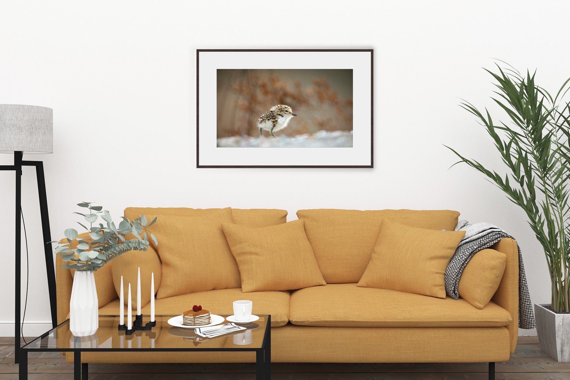 New Zealand native bird print photo