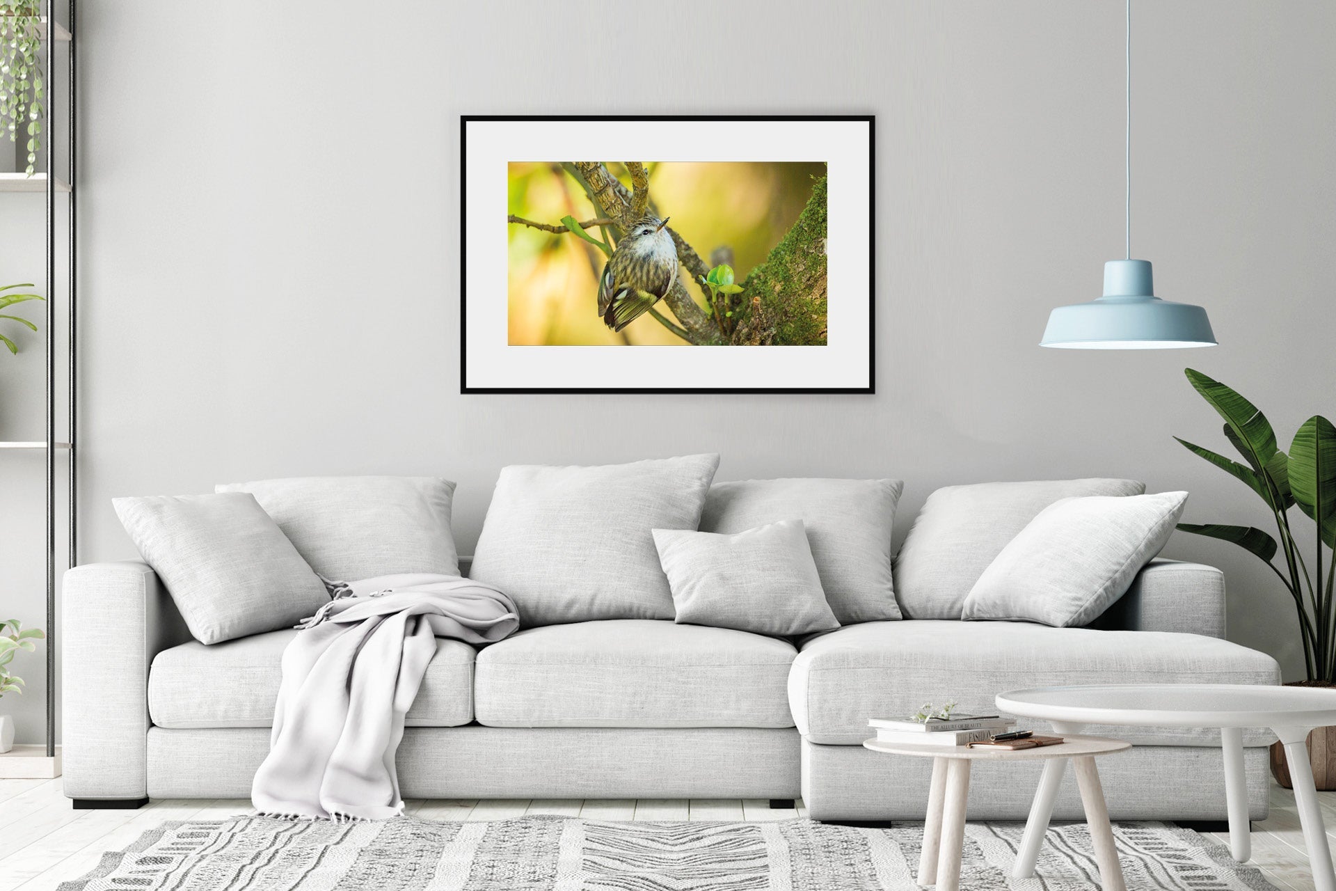 New Zealand native bird wall print