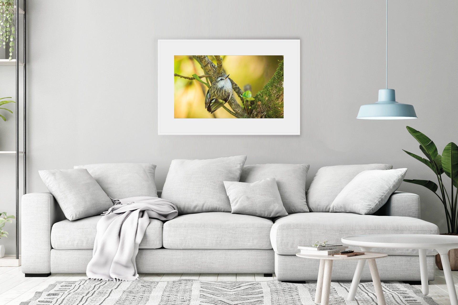 New Zealand native bird wall print