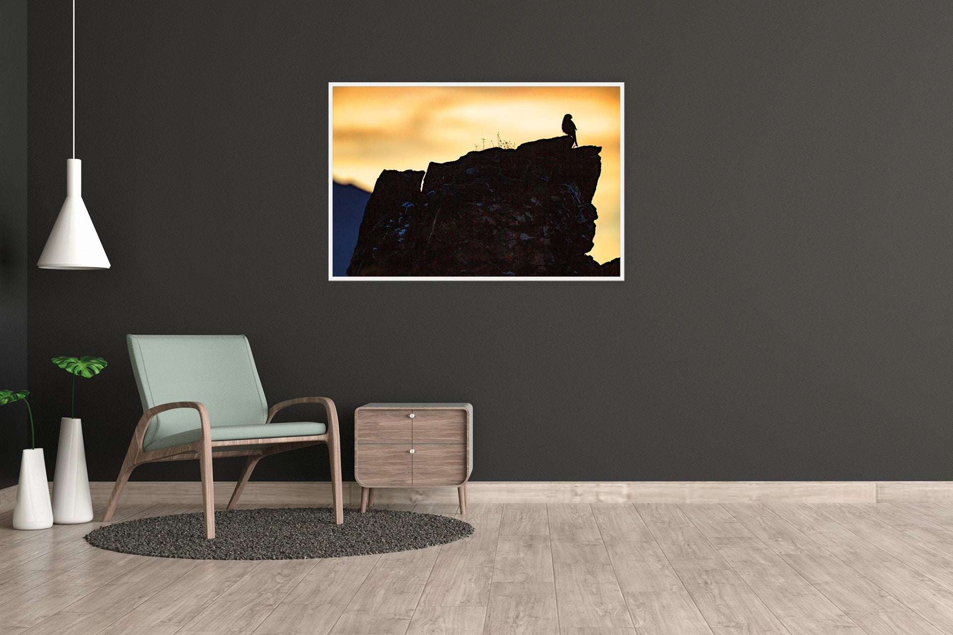 New Zealand native falcon wall print