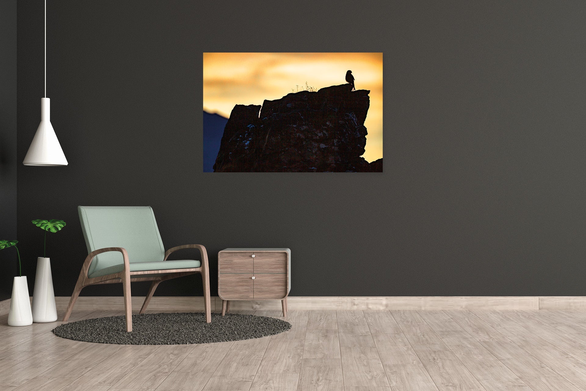 New Zealand native falcon wall print