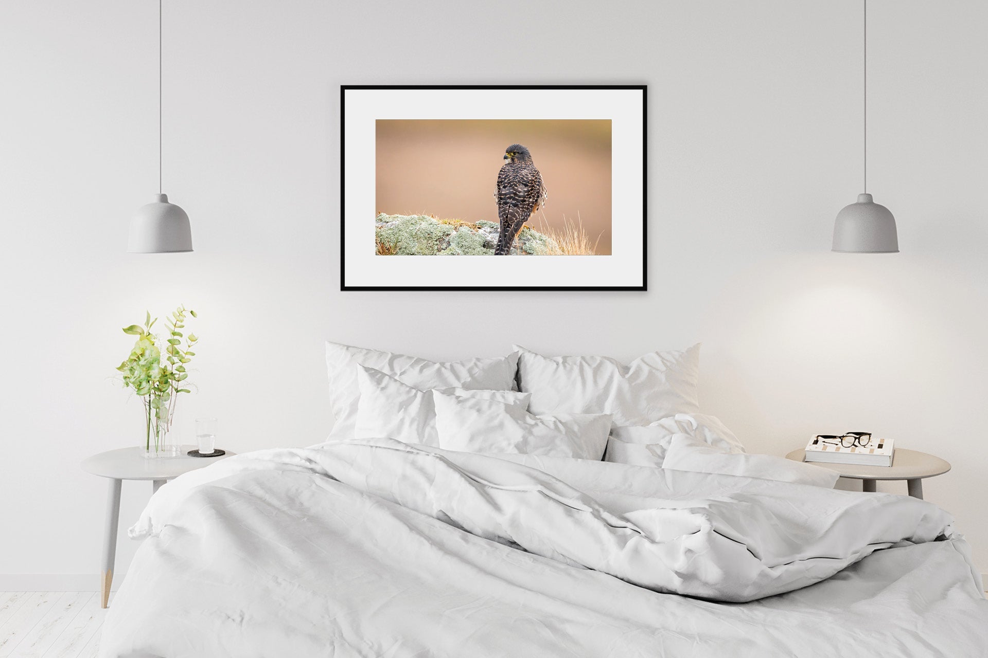 Falcon image