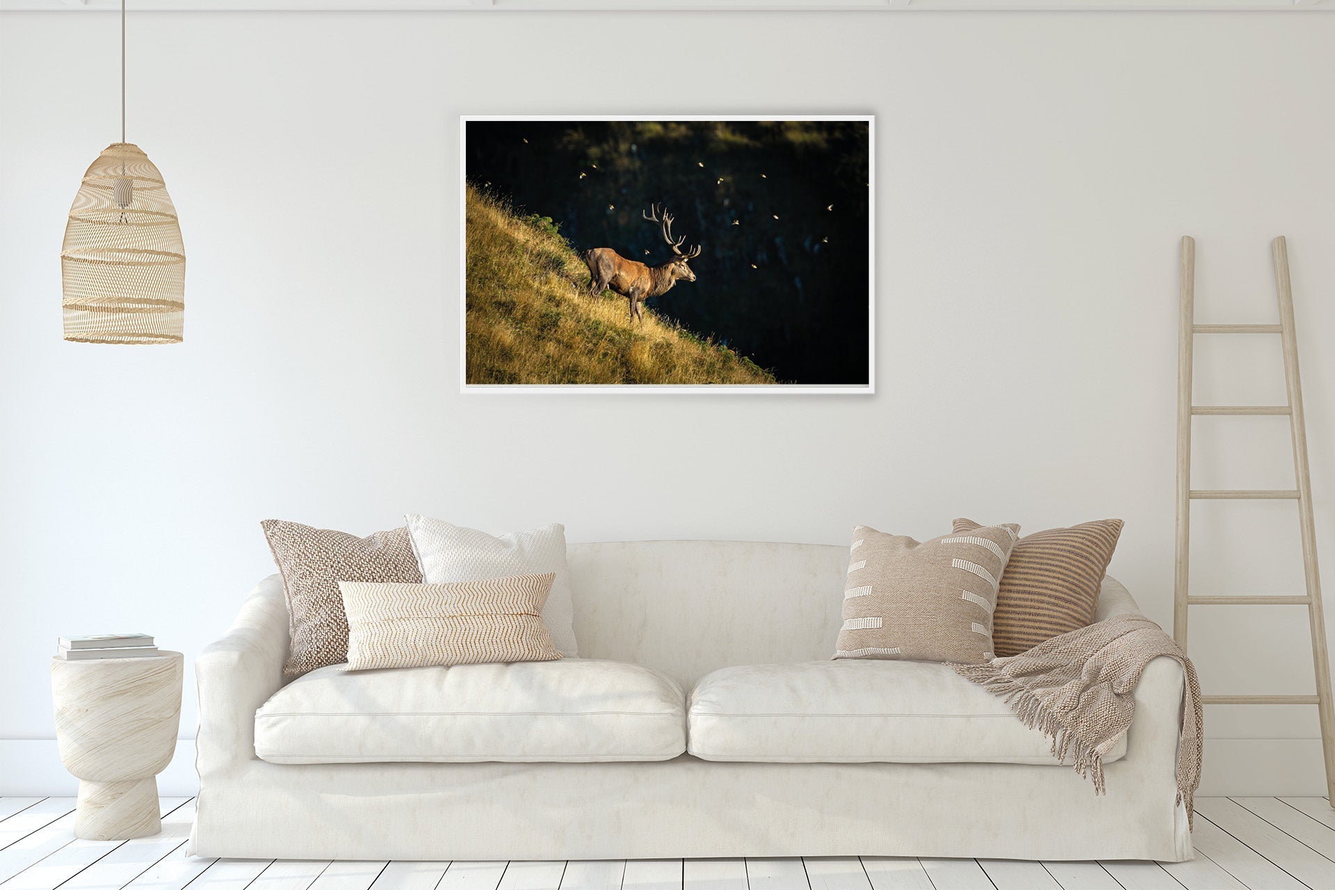 framed red stag photo