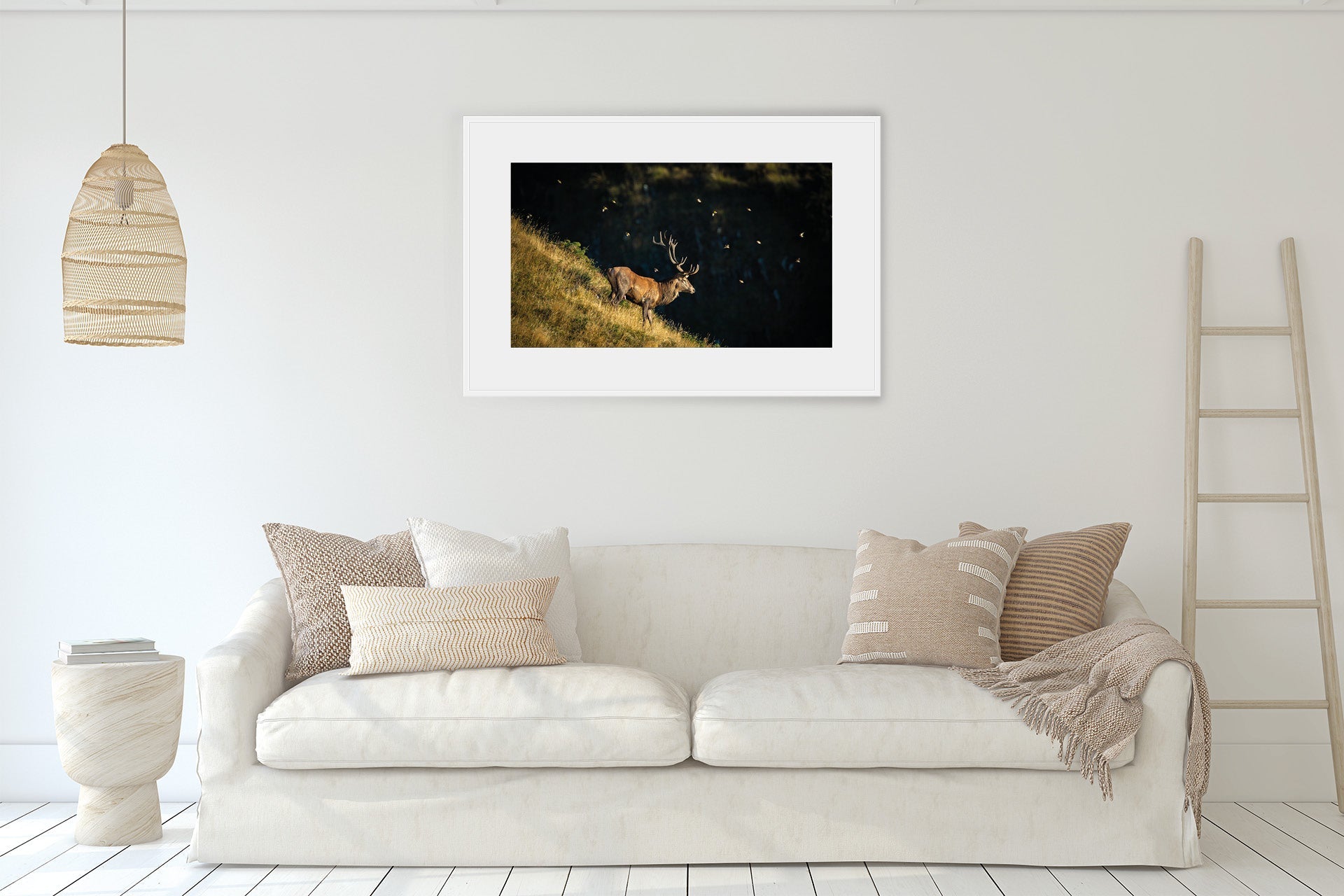 framed red stag photo