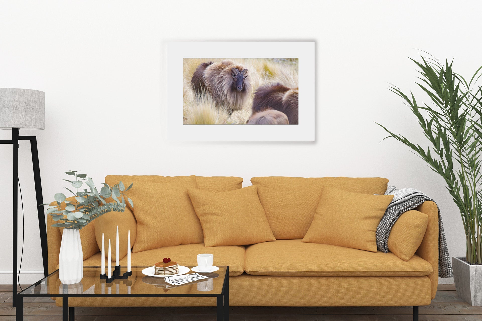 NZ Tahr