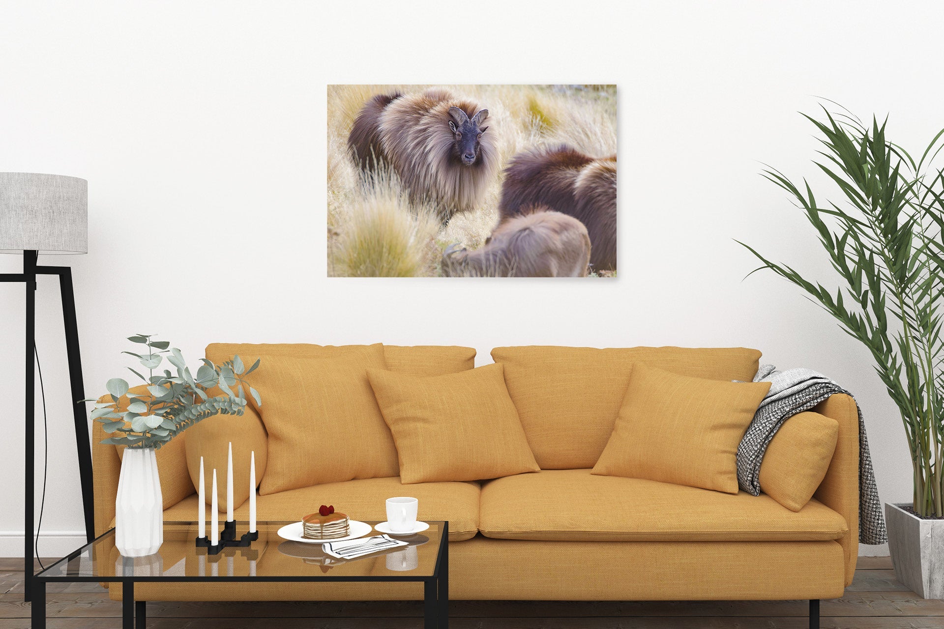 New Zealand Bull Tahr