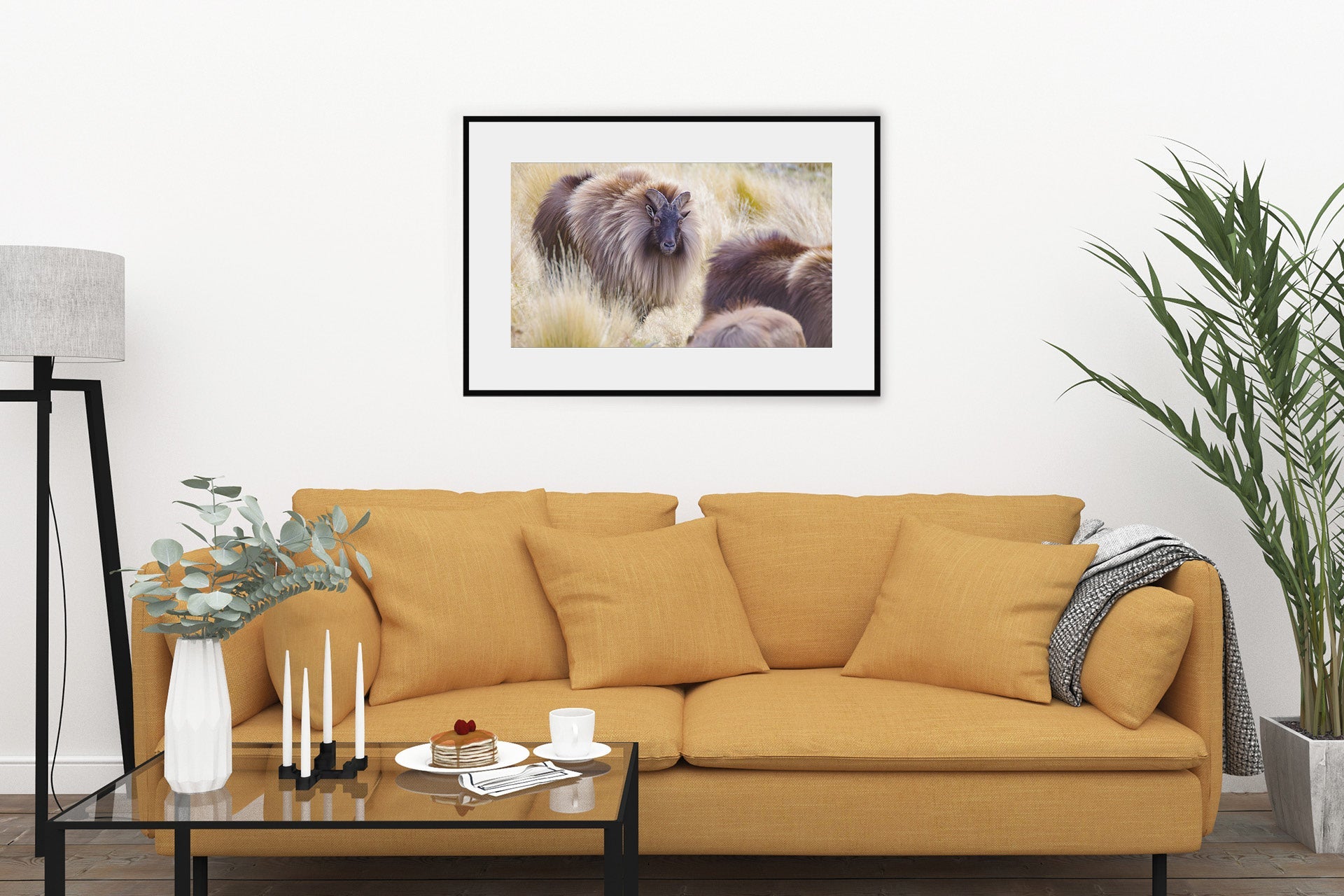 New Zealand Bull Tahr