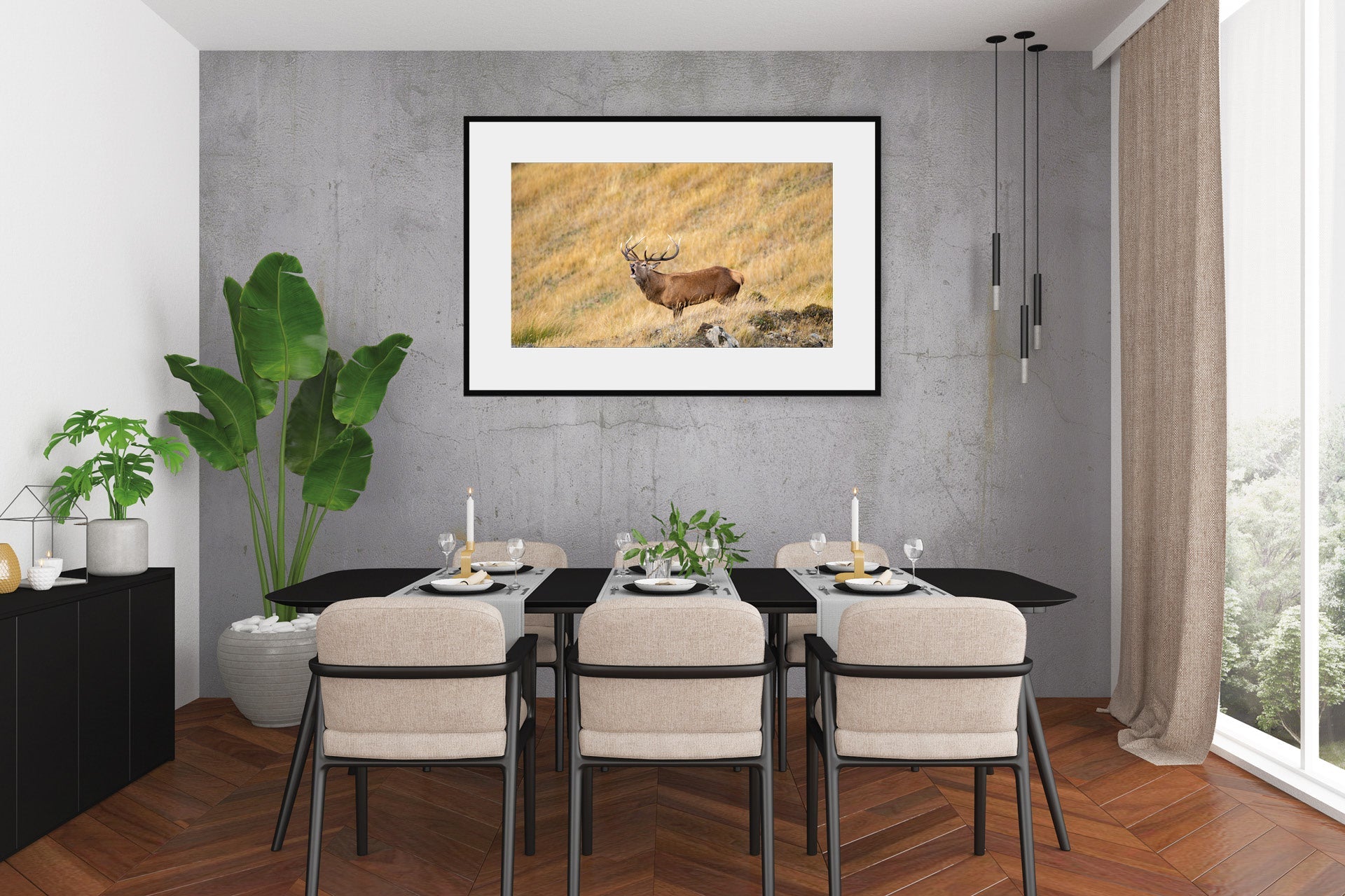 Otago High Country Red Stag