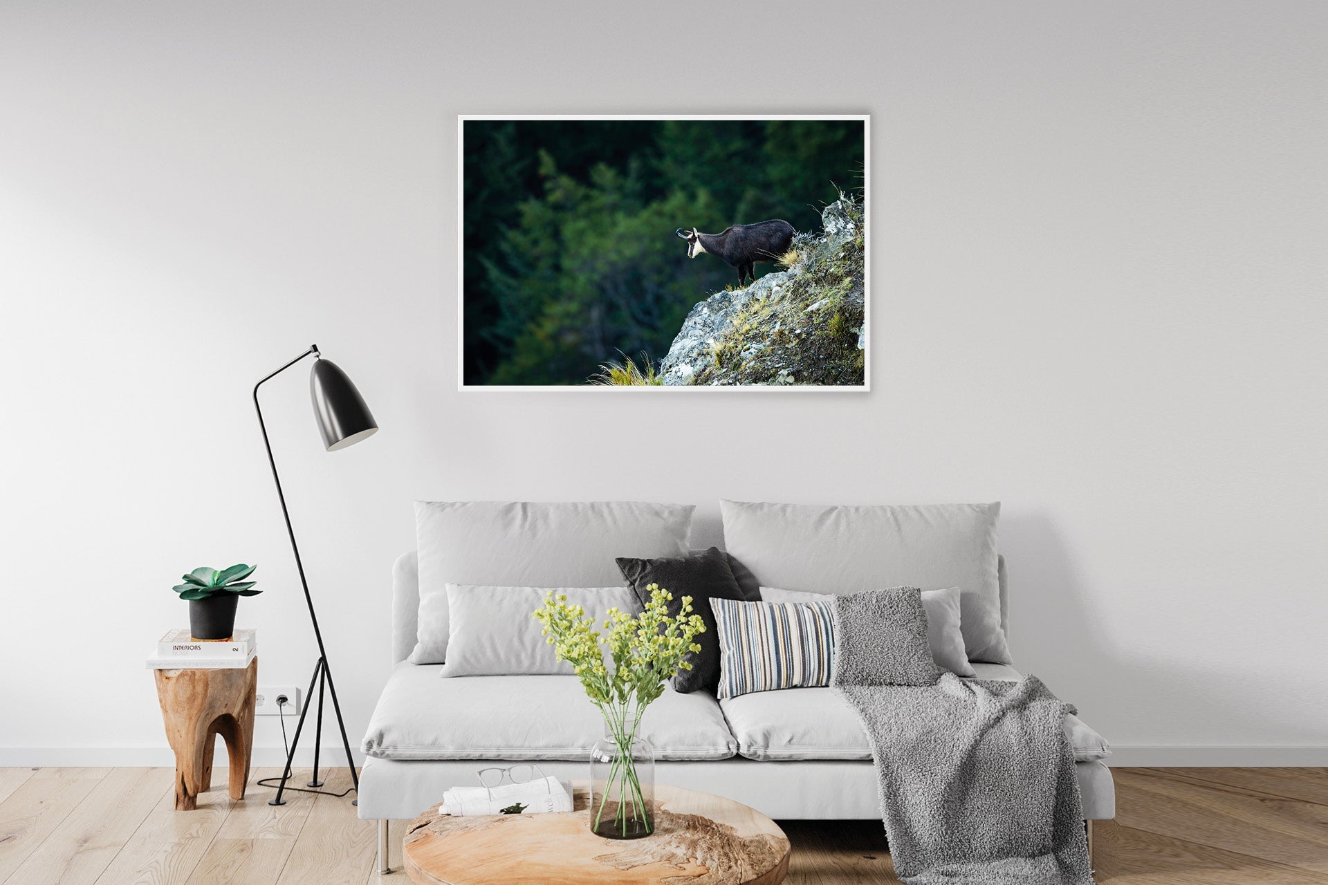 Chamois print