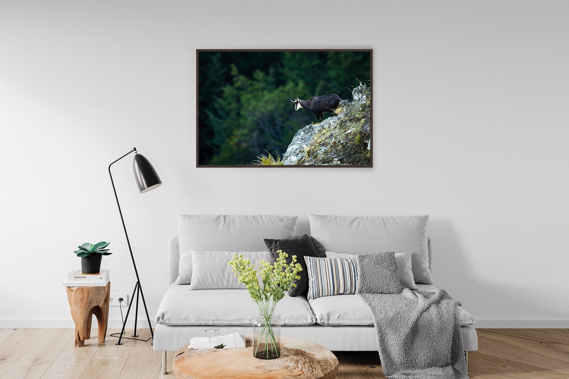 Chamois wall print