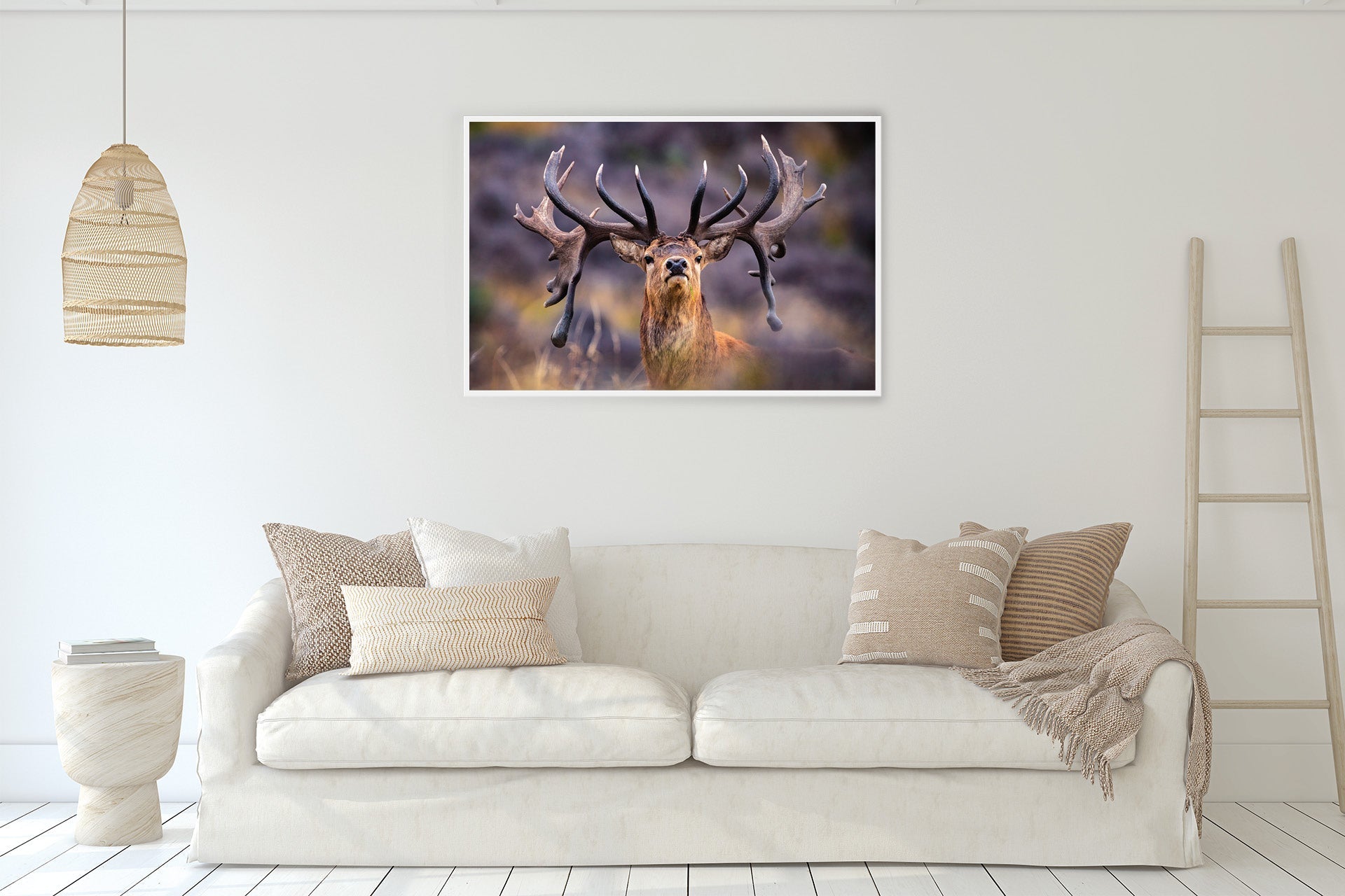 New Zealand Red Stag print