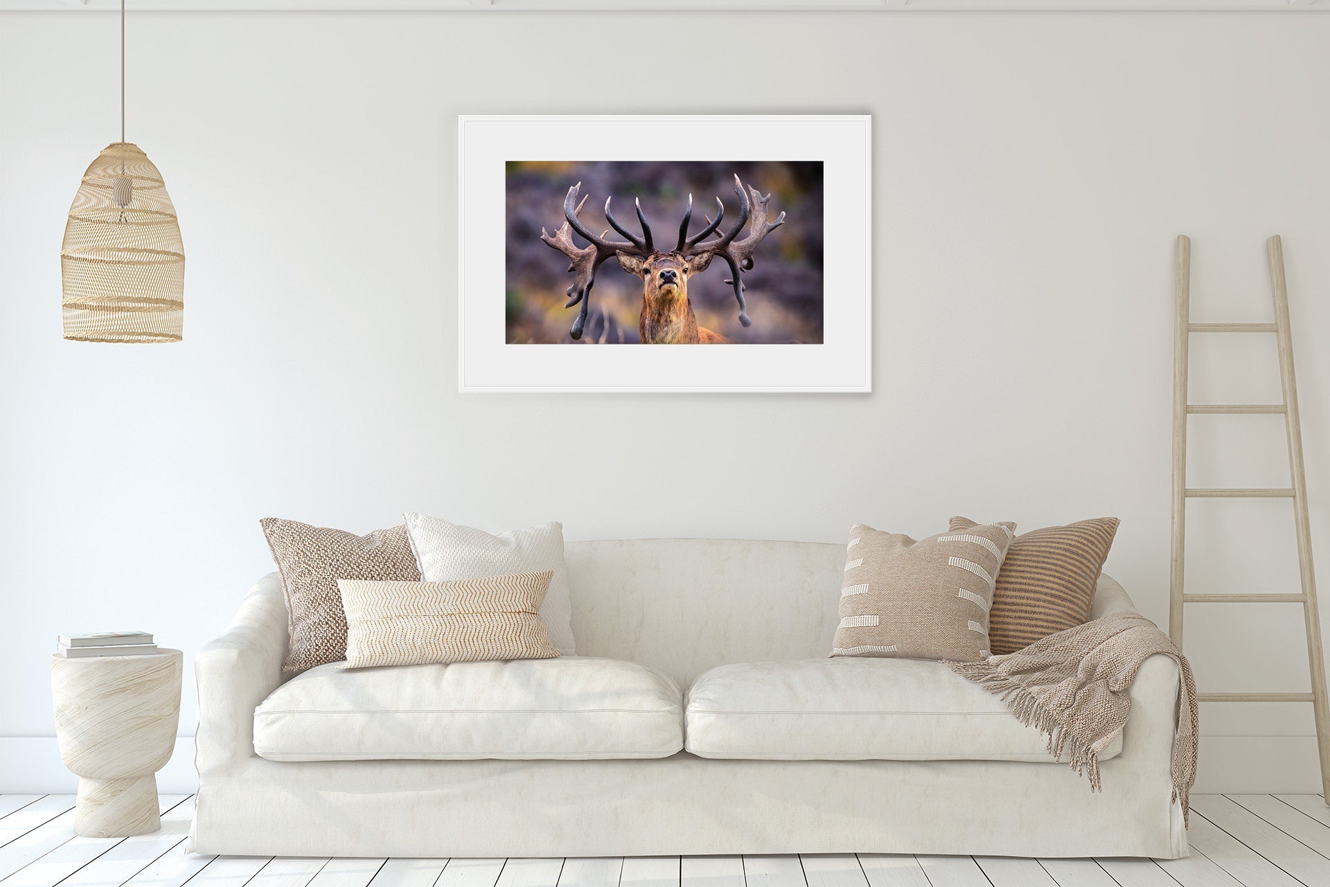 New Zealand Red Stag print