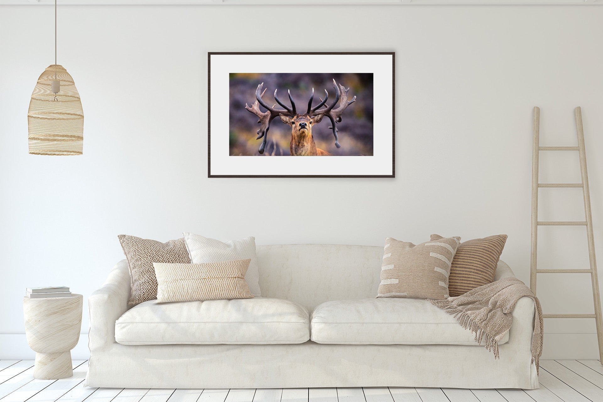 wild Red Stag print