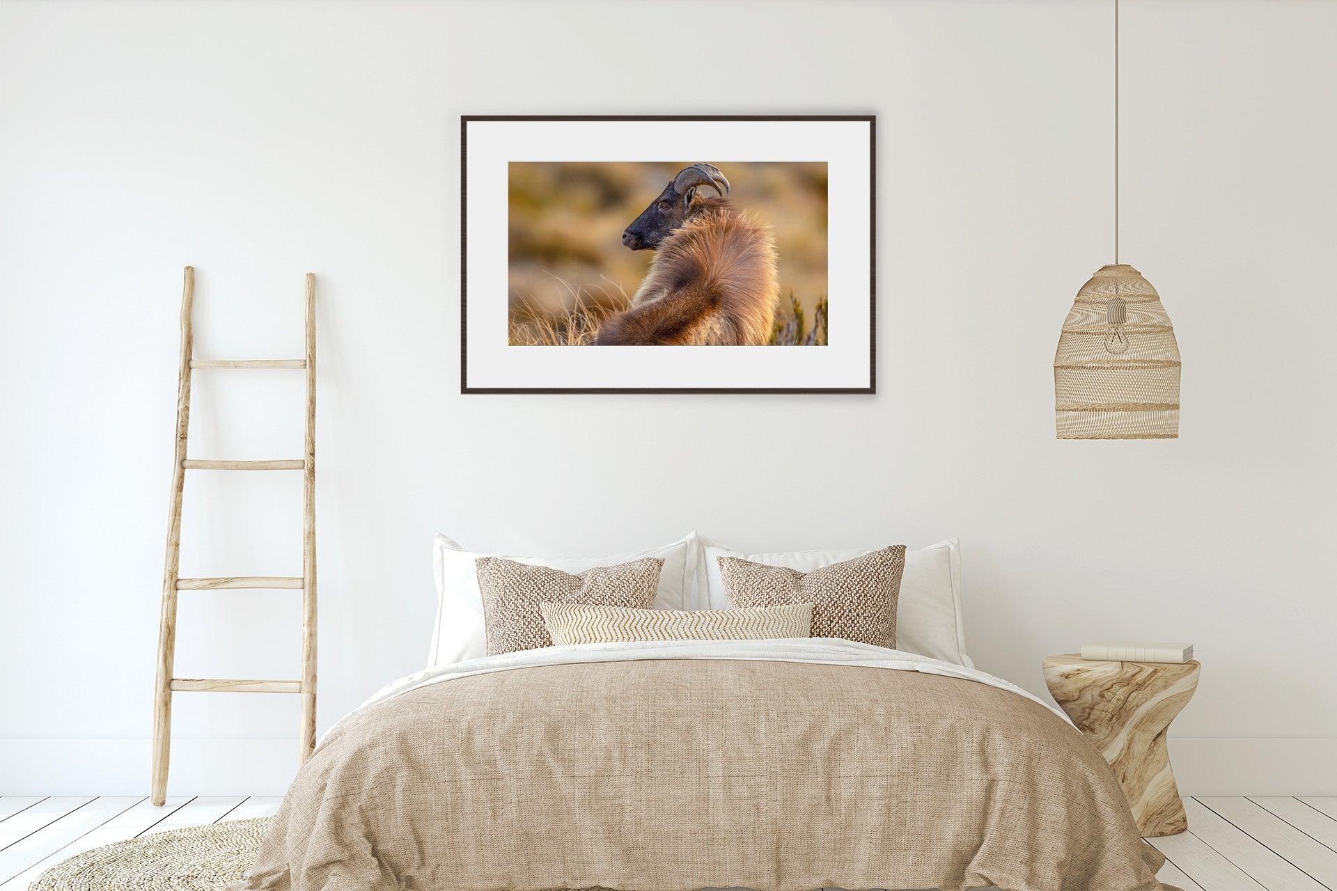 tahr image framed for your office