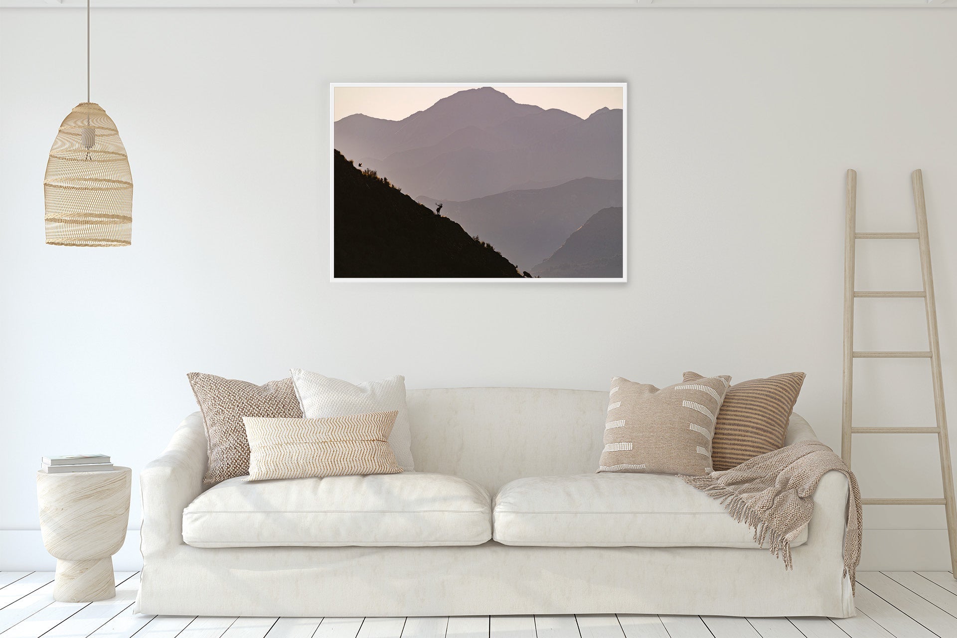 New Zealand Wildlife wall print