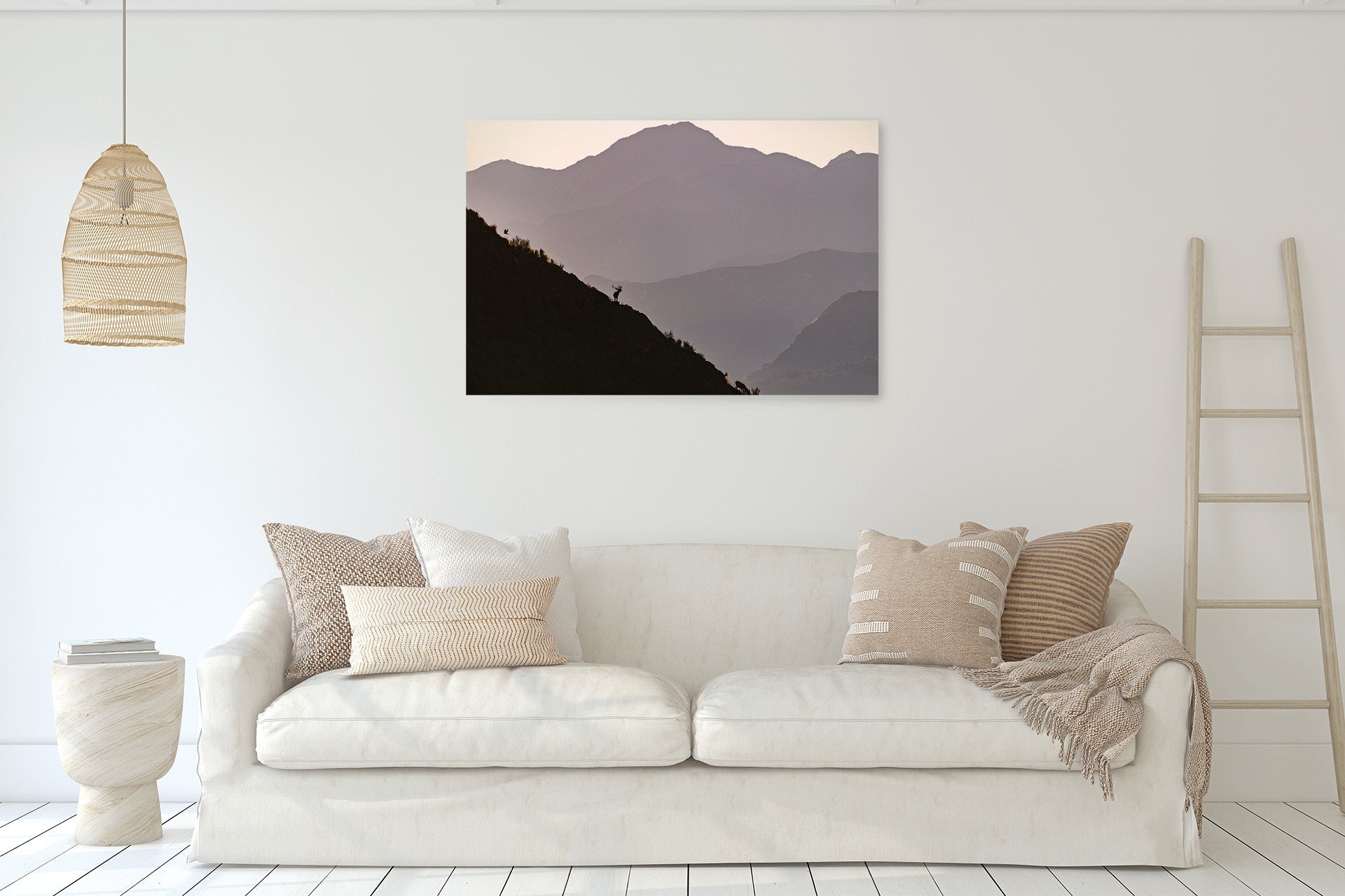 New Zealand Wildlife wall print