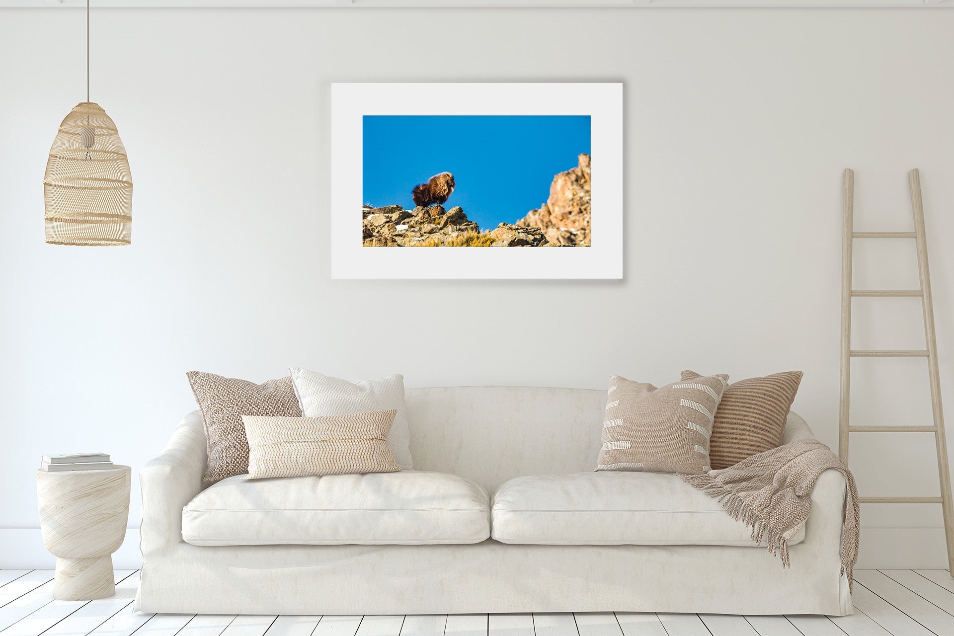 new zealand himalayan bull tahr print