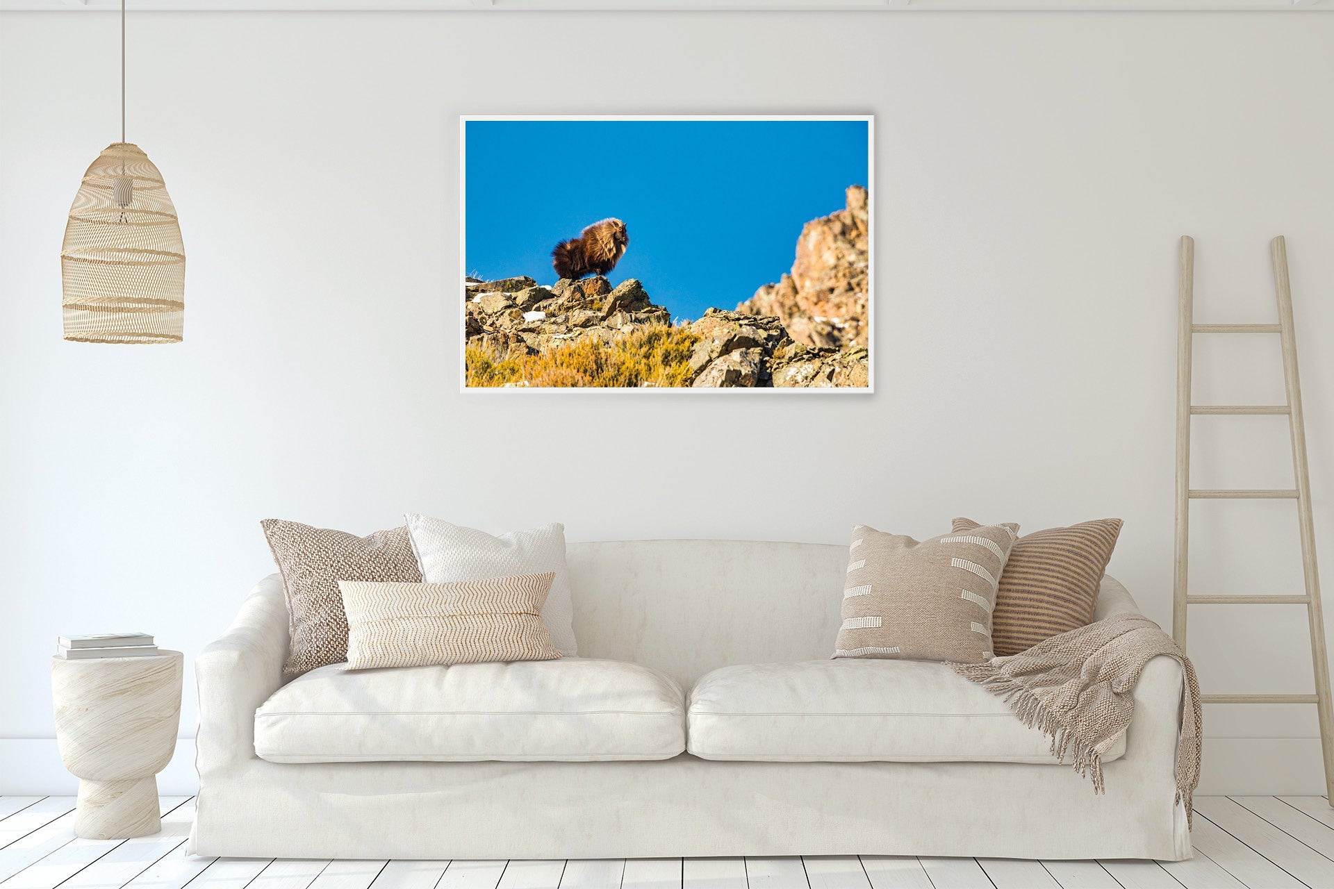 bull tahr print